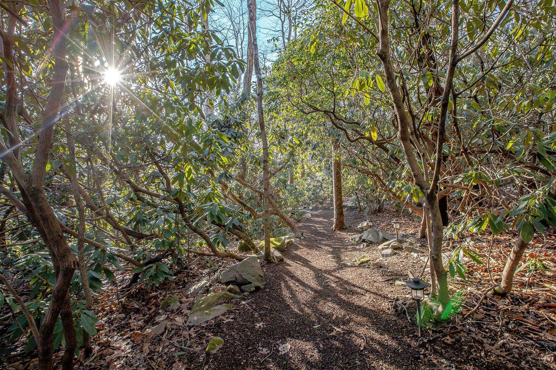  FAIRVIEW - 物件實景