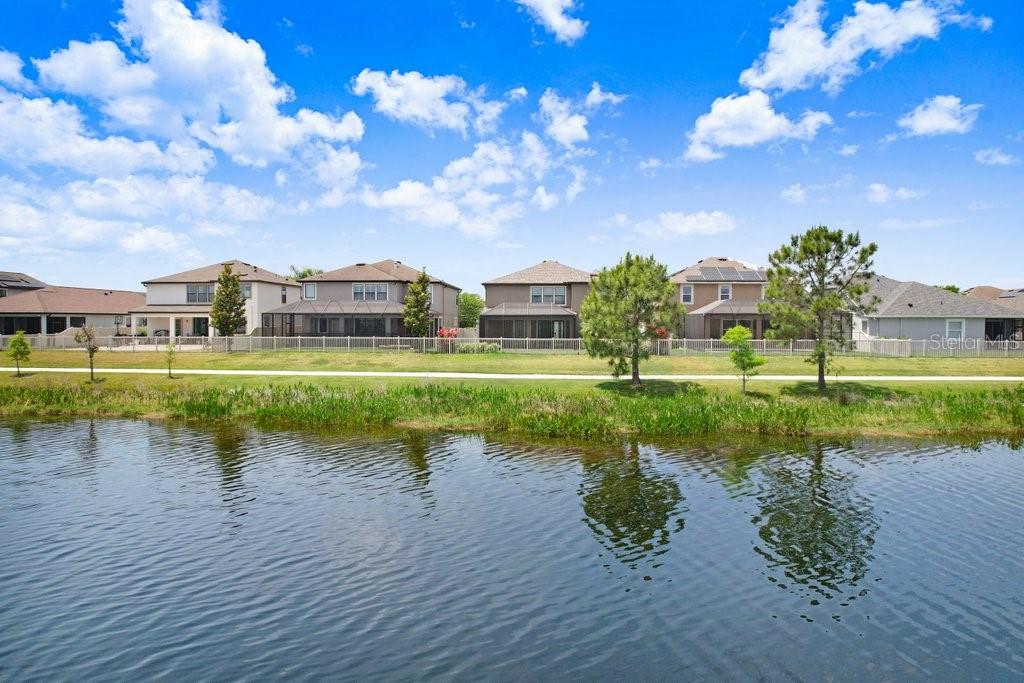 Lutz, Florida, 33558, United States, 5 Bedrooms Bedrooms, ,3 BathroomsBathrooms,Residential,For Sale,1784935