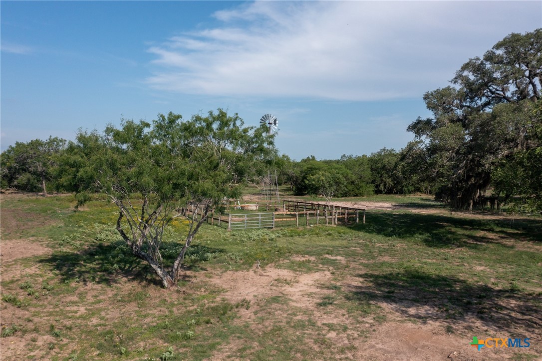 Yorktown, Texas, 78164, United States, ,Land,For Sale,1858167