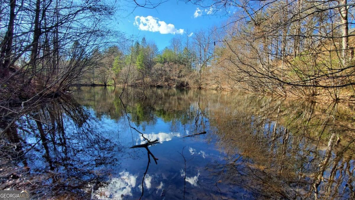 Cherry Log, Georgia, 30522, United States, ,Land,For Sale,1859131
