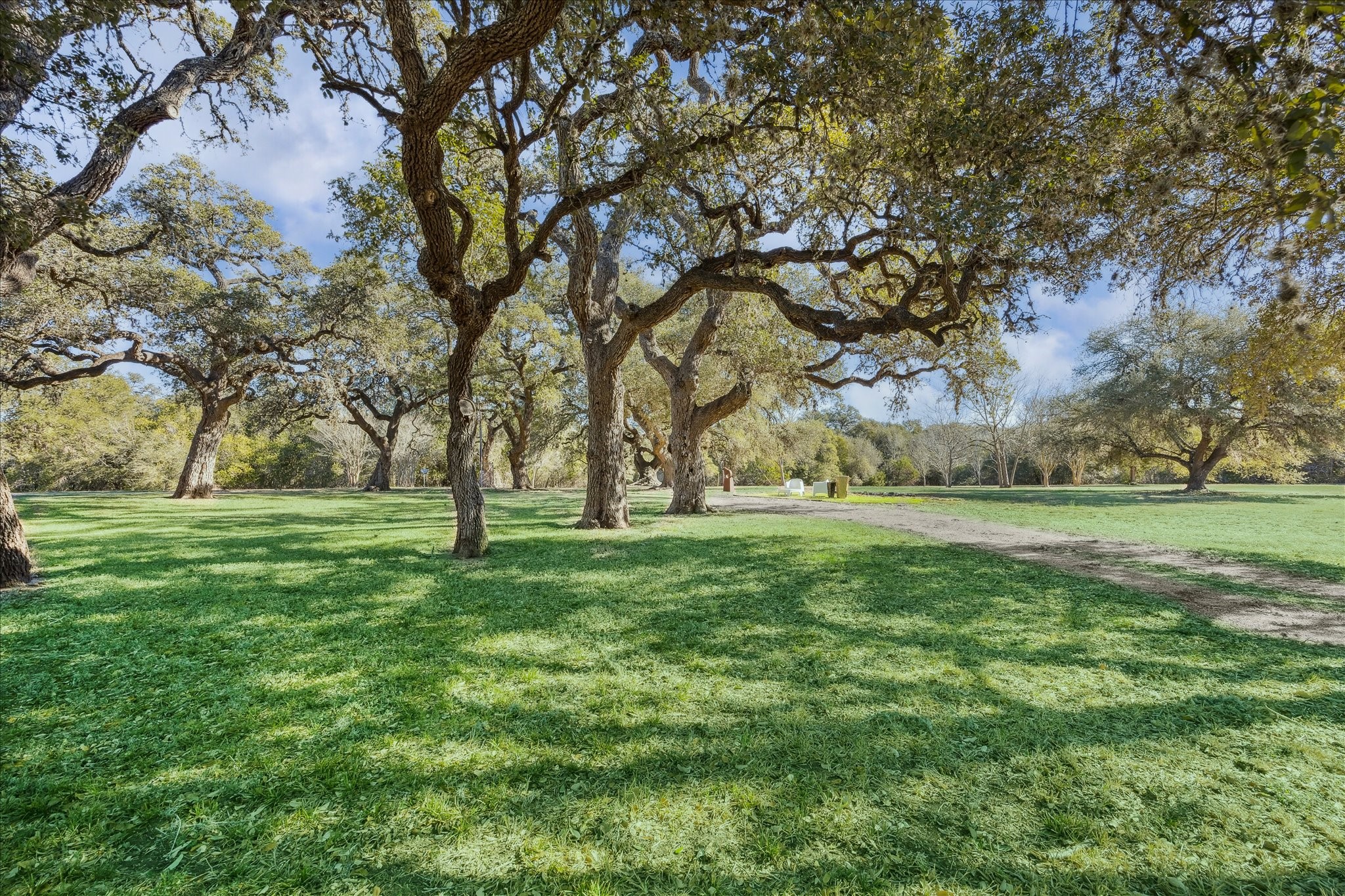  509 N Live Oak Street - 物件實景