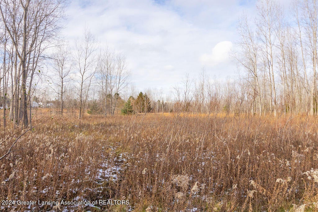 109 Daggertail Lane, Okemos, Michigan, 48864, United States, 4 Bedrooms Bedrooms, ,Residential,For Sale,109 Daggertail Lane,1668513