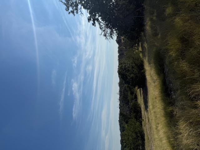 Fredericksburg, Texas, 78624, United States, 3 Bedrooms Bedrooms, ,2 BathroomsBathrooms,Residential,For Sale,1984349