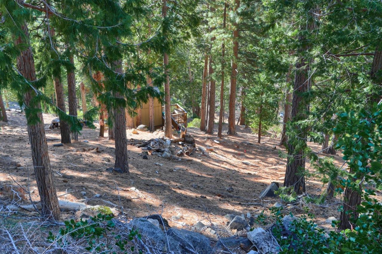 Yosemite West, California, 95389, United States, ,Residential,For Sale,1855046