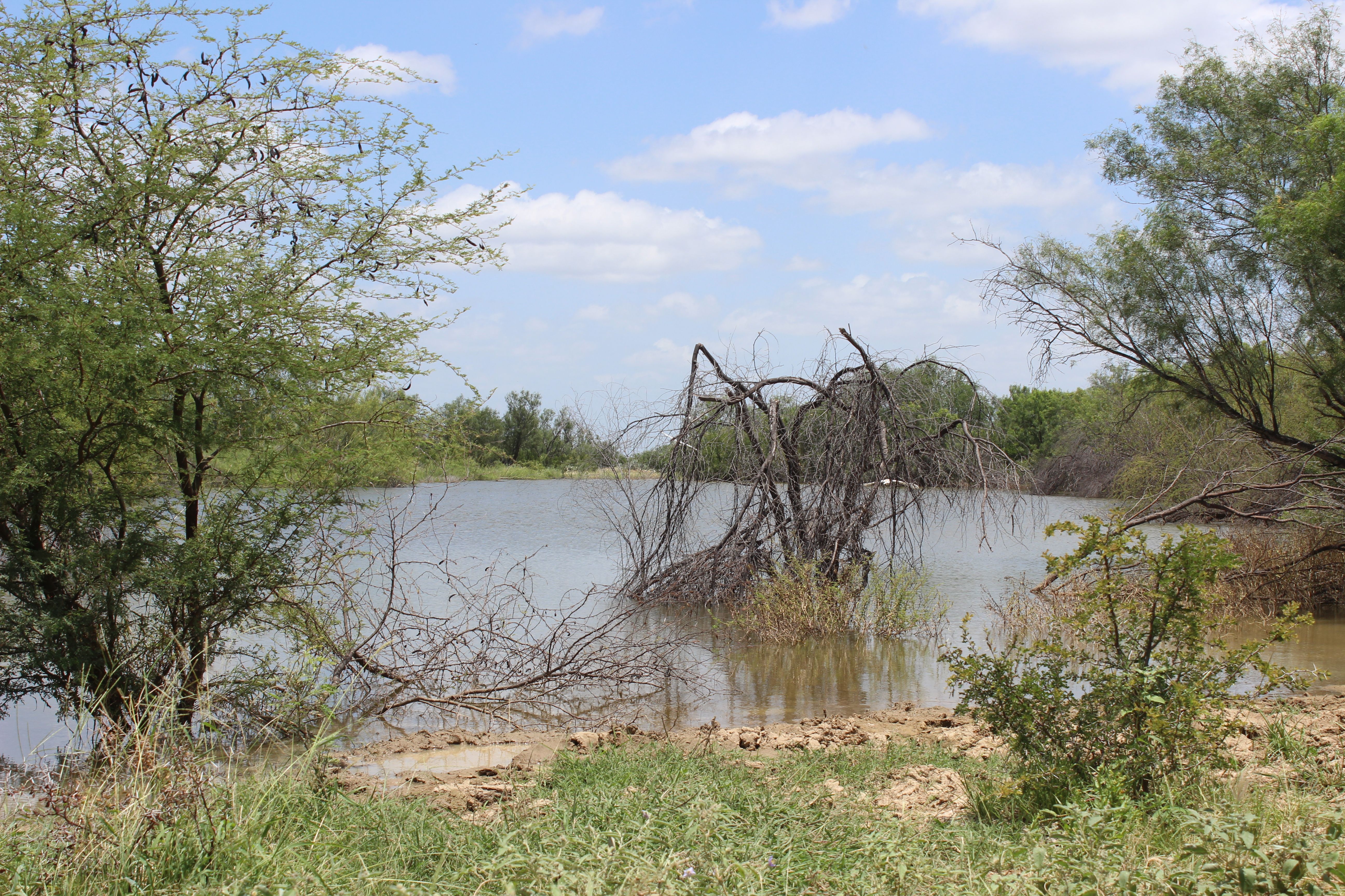  644+/- Acre Asherton Vista - 物件實景