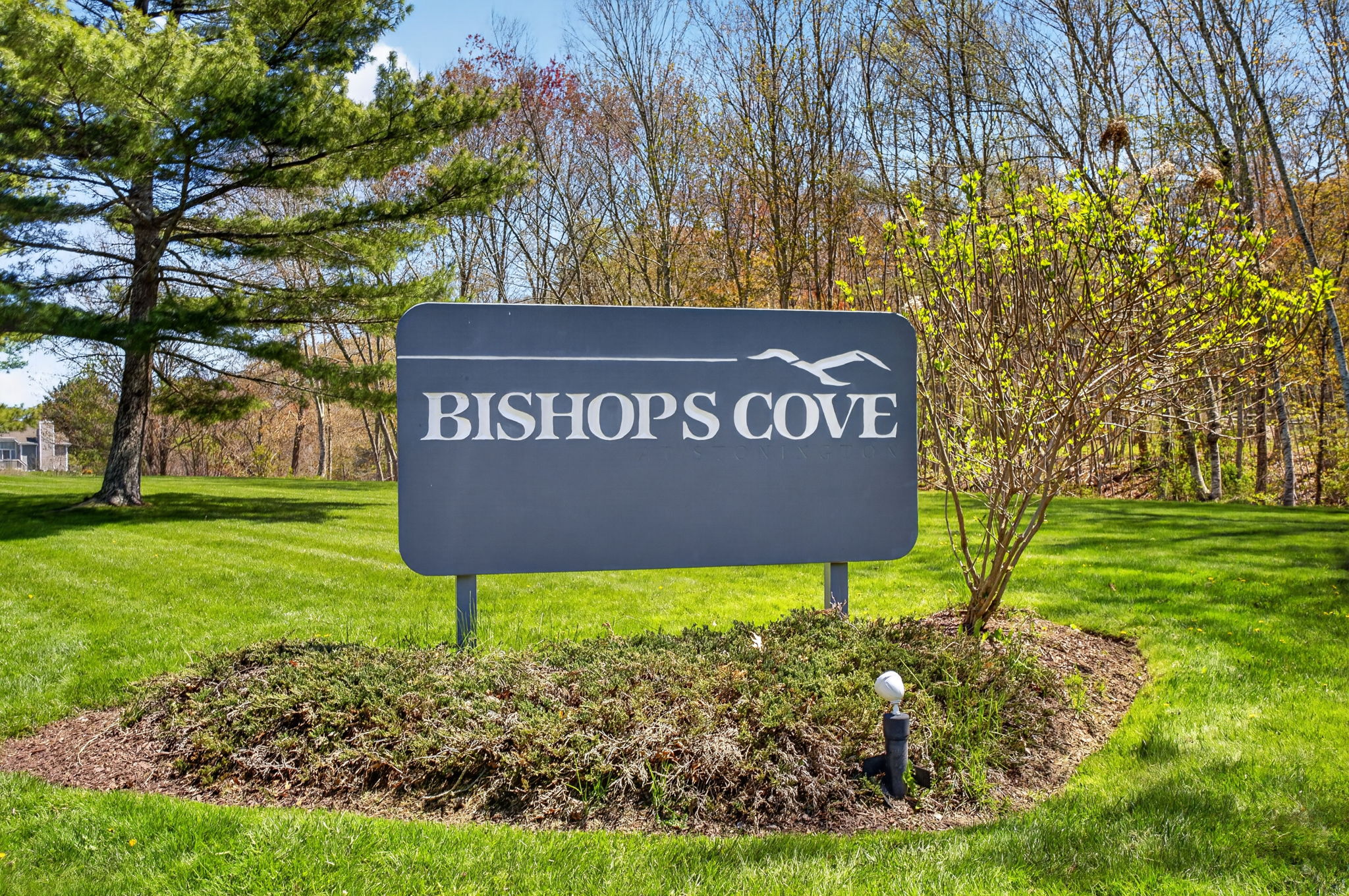  Bishops Cove - 物件實景