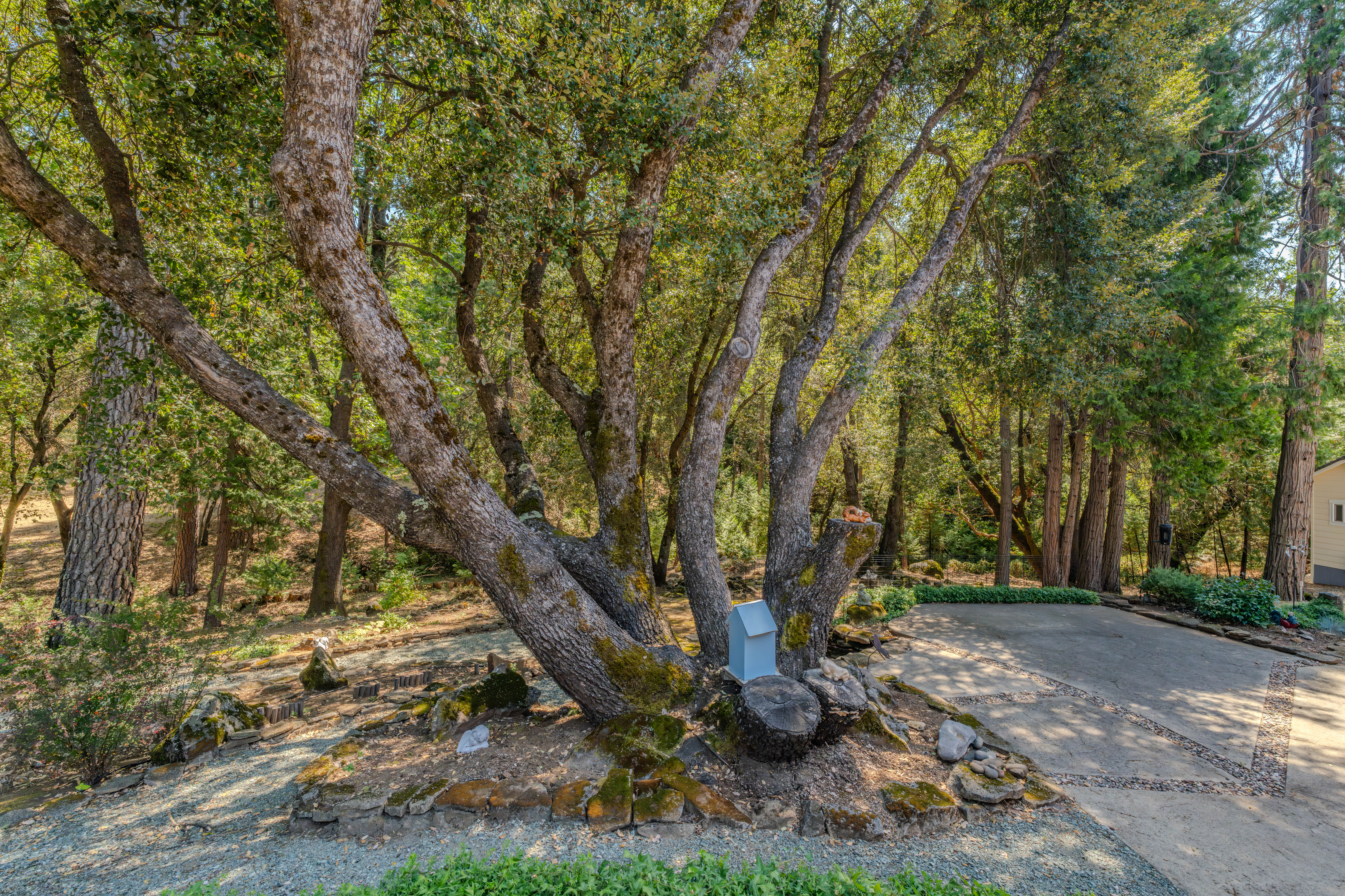  22590 Rocky Lane, Pioneer, CA 95666 - 物件實景