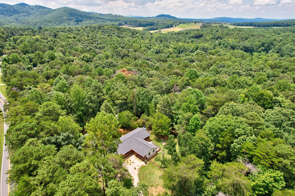 Ellijay, Georgia, 30536, United States, 4 Bedrooms Bedrooms, ,2 BathroomsBathrooms,Residential,For Sale,2015315