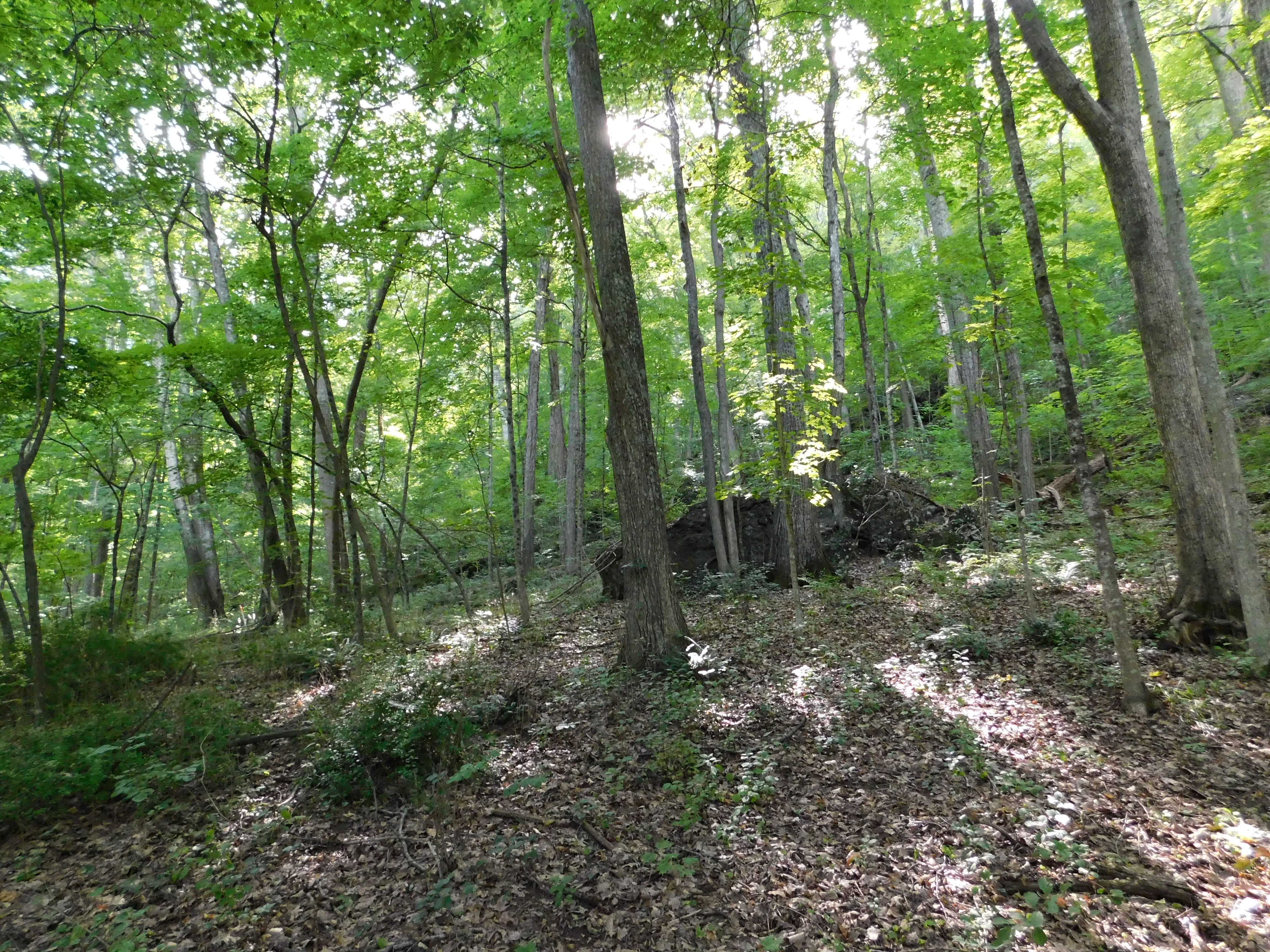  153 White Hollow Road - 物件實景