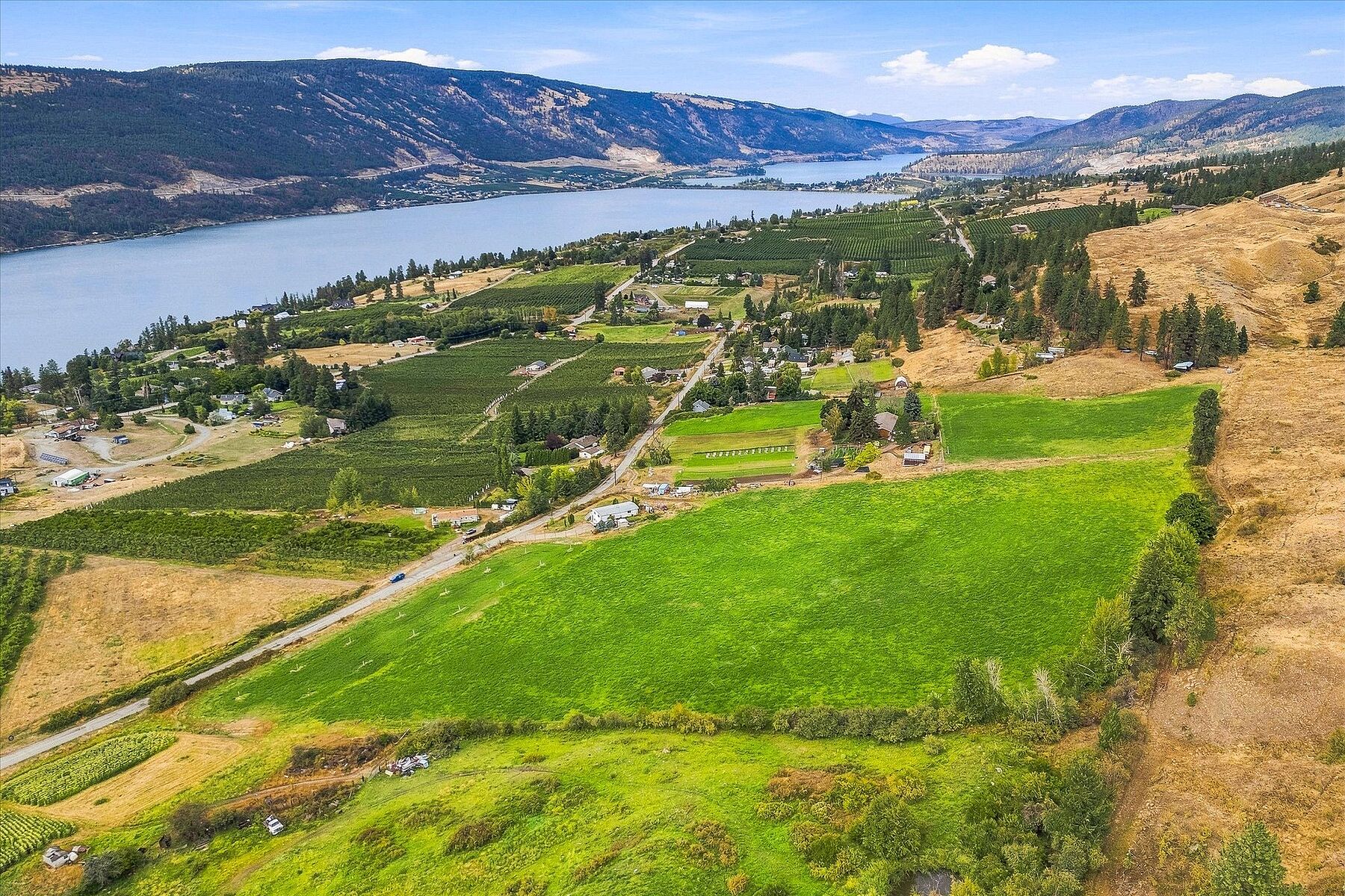  Productive Farmland in Oyama - 物件實景