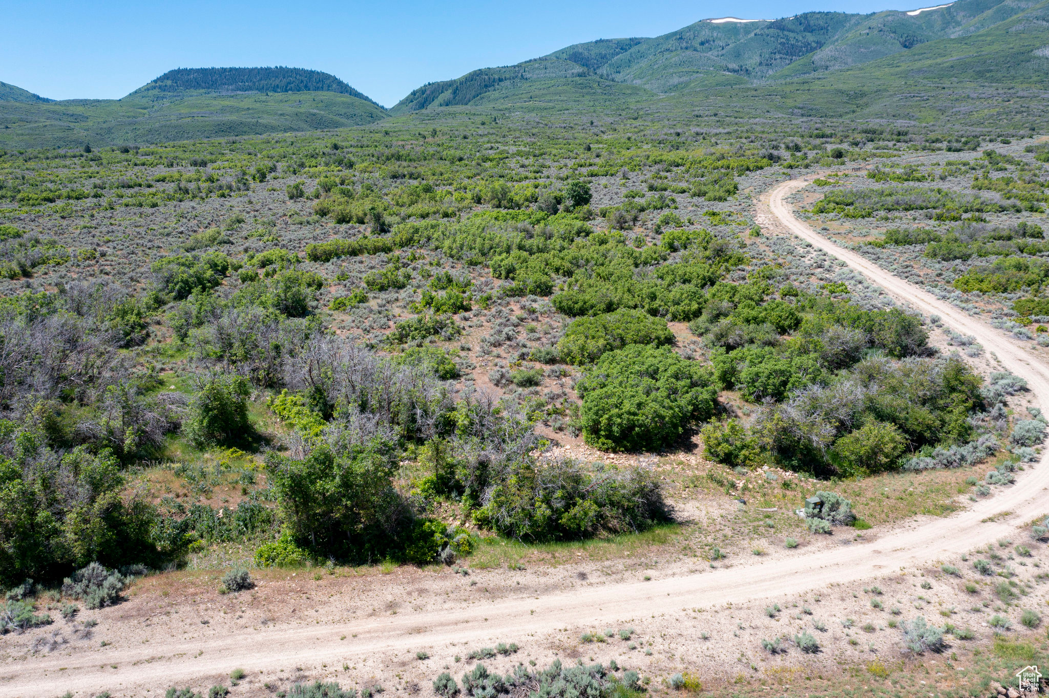 Wallsburg, Utah, 84082, United States, ,Land,For Sale,1806047