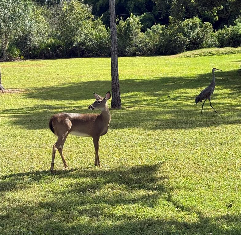 Sarasota, Florida, 34240, United States, 4 Bedrooms Bedrooms, ,4 BathroomsBathrooms,Residential,For Sale,1987822