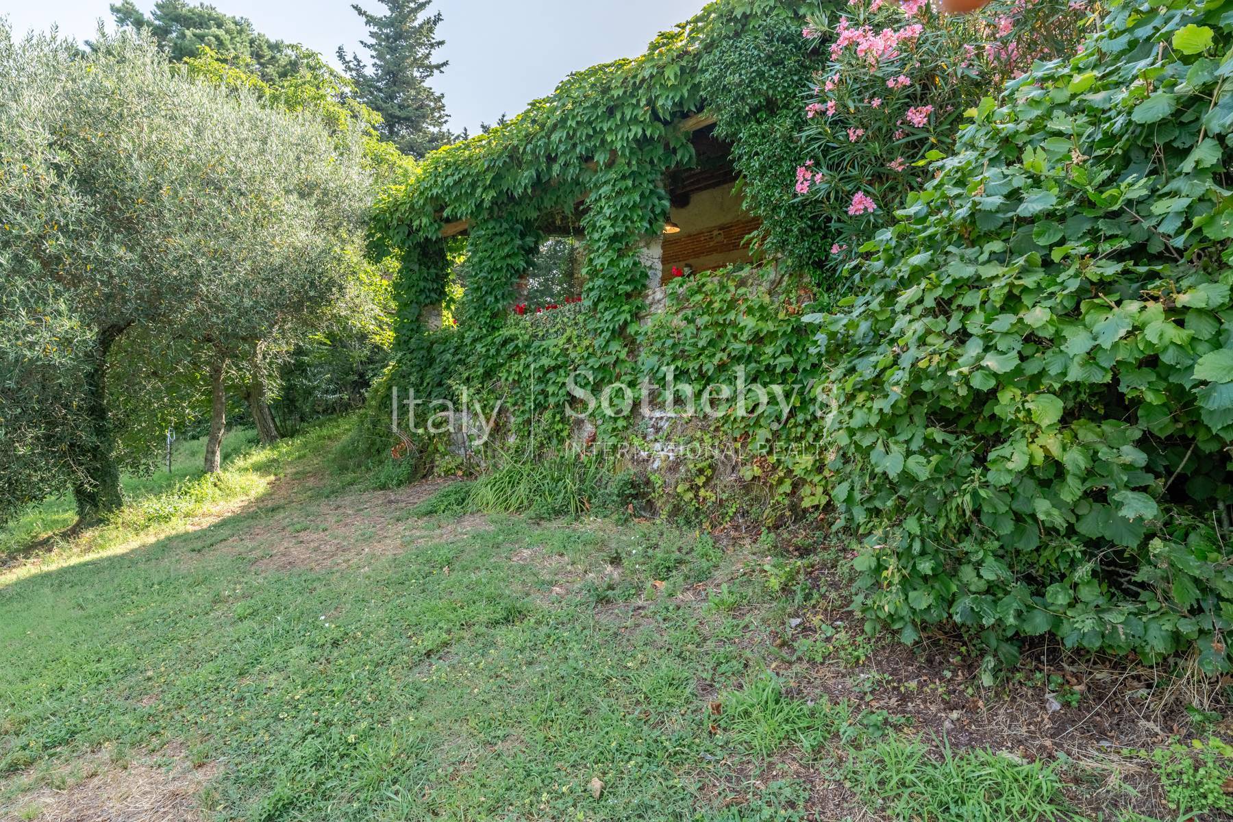  Ancient country villa on the hills of Lucca - 物件實景