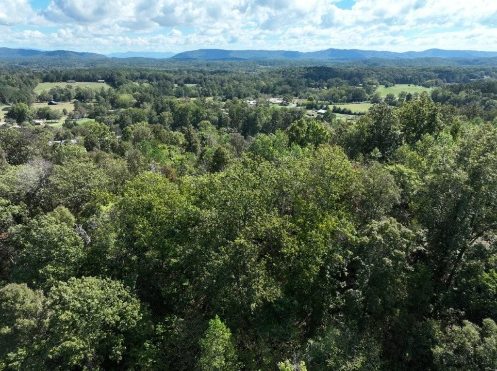 Ringgold, Georgia, 30736, United States, ,Residential,For Sale,1958114