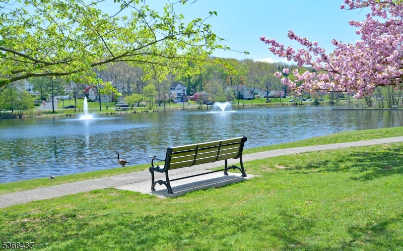 Watchung Boro, New Jersey, 07069, United States, 3 Bedrooms Bedrooms, ,3 BathroomsBathrooms,Residential,For Sale,1883486