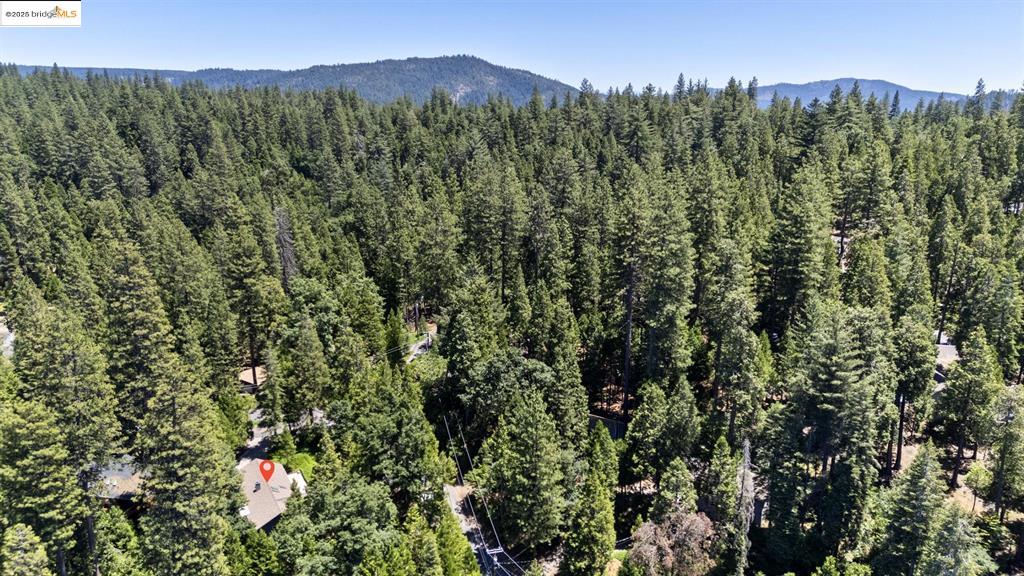 Twain Harte, California, 95383, United States, 3 Bedrooms Bedrooms, ,3 BathroomsBathrooms,Residential,For Sale,1862195