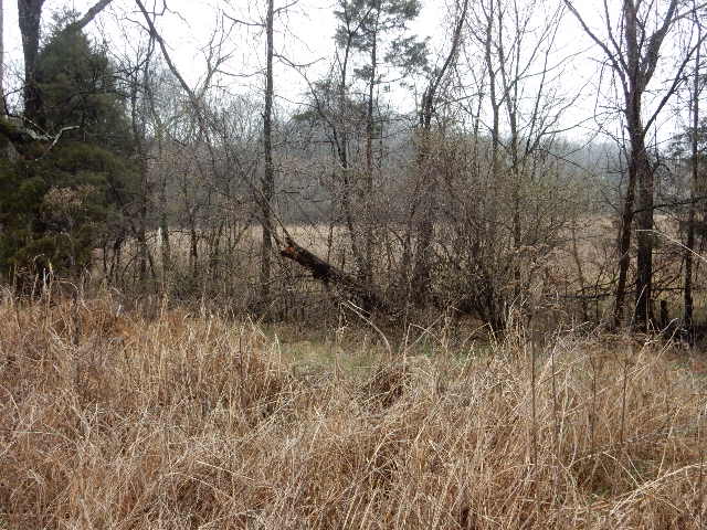 Clermont, Kentucky, 40110, United States, ,Land,For Sale,1980542