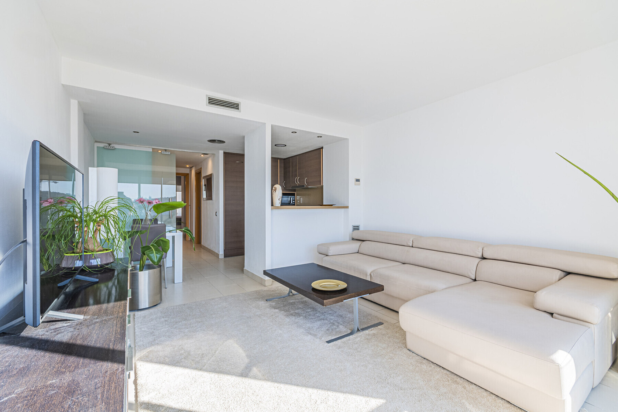  Penthouse with private terrace and sea views - 物件實景