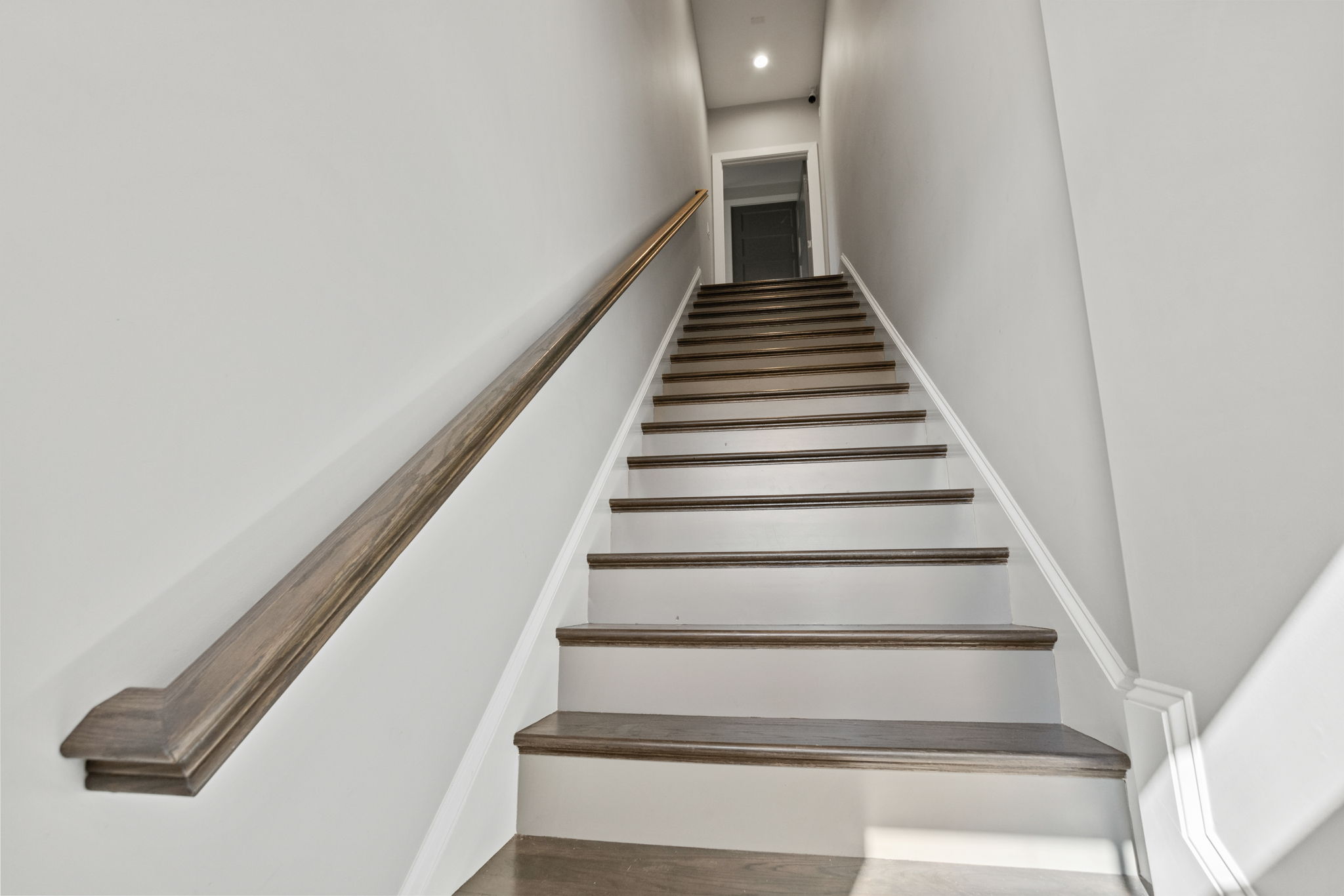  101 Gower Street, Greenville, SC 29601 - 物件實景