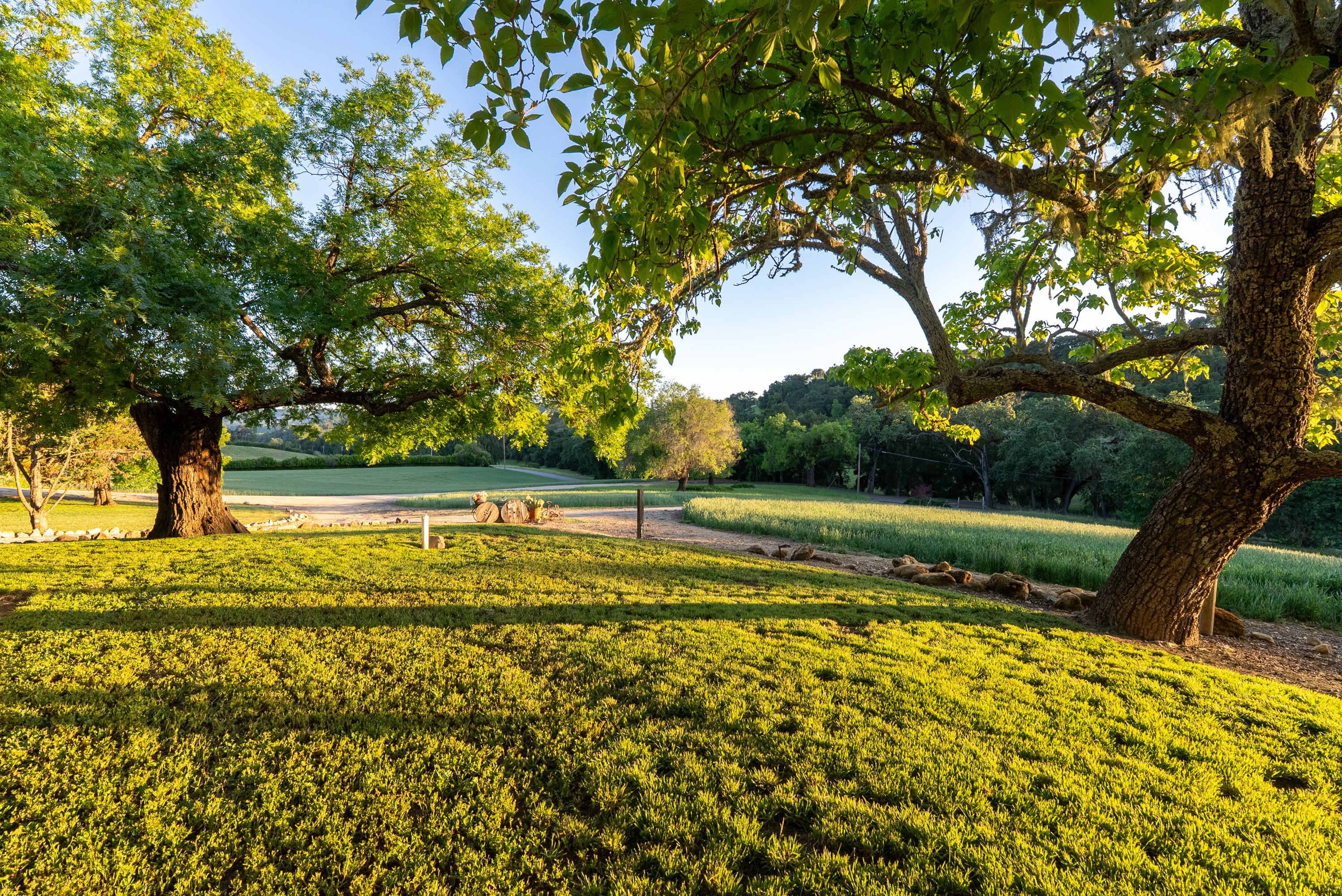  5250 & 5260 - 物件實景