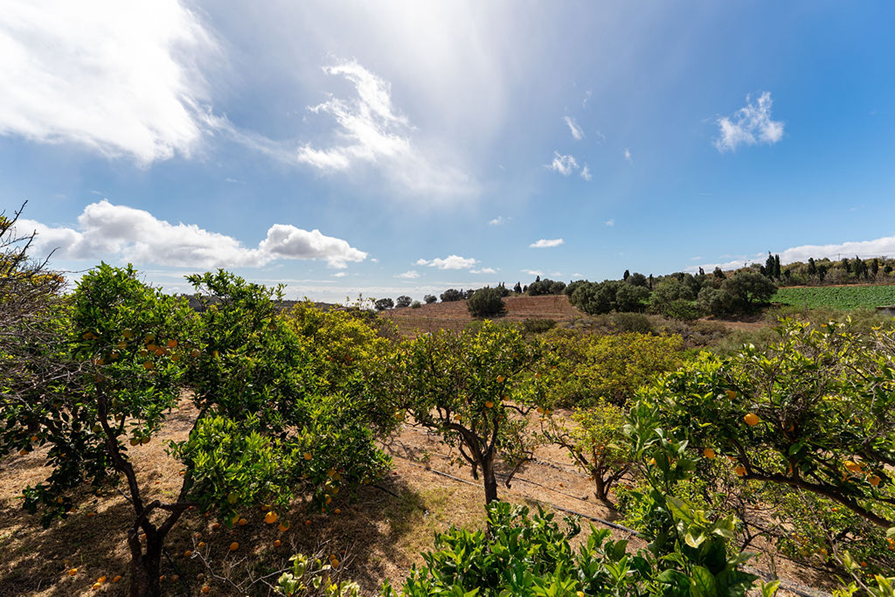  Investment opportunity and exclusive privacy in an 80,000 m² estate - 物件實景