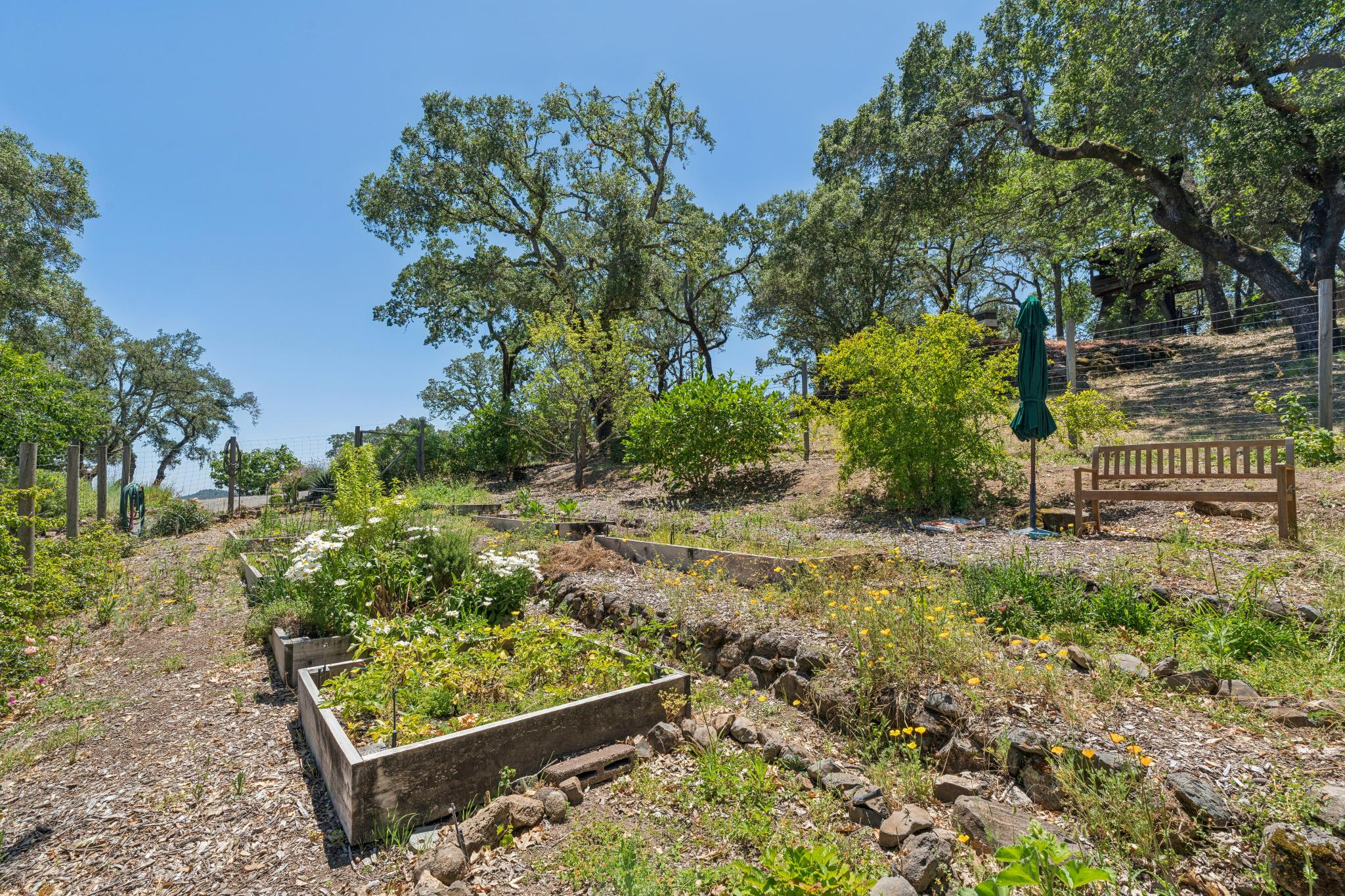  3393 St. Helena Hwy N. - 物件實景