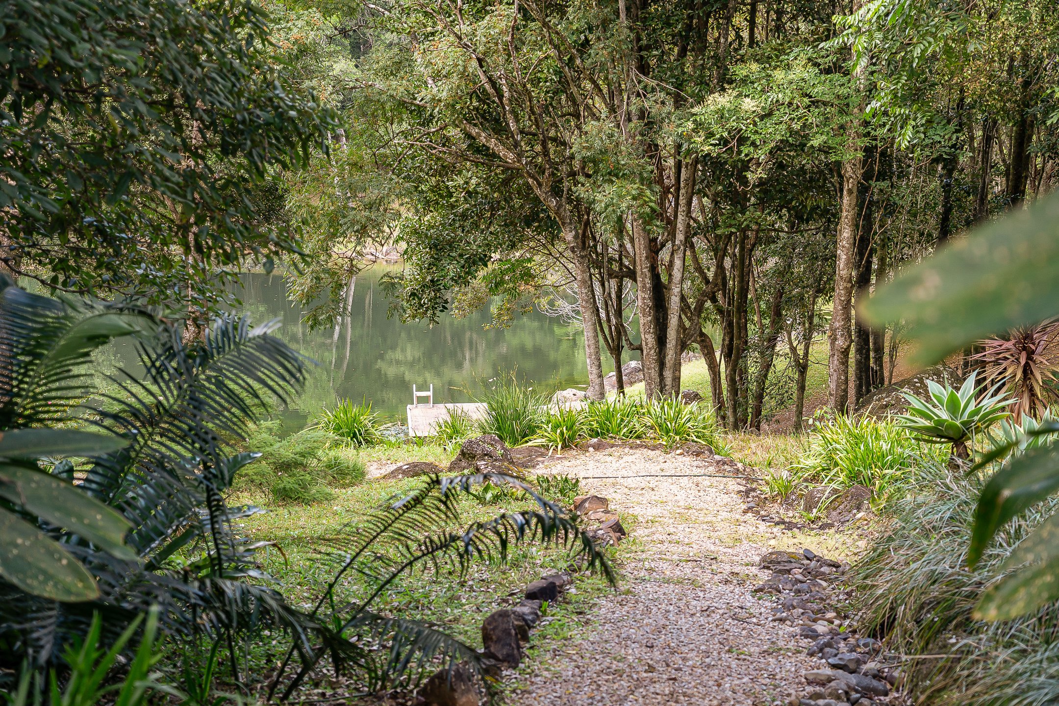  142 Coorabell Road, Federal - 物件實景