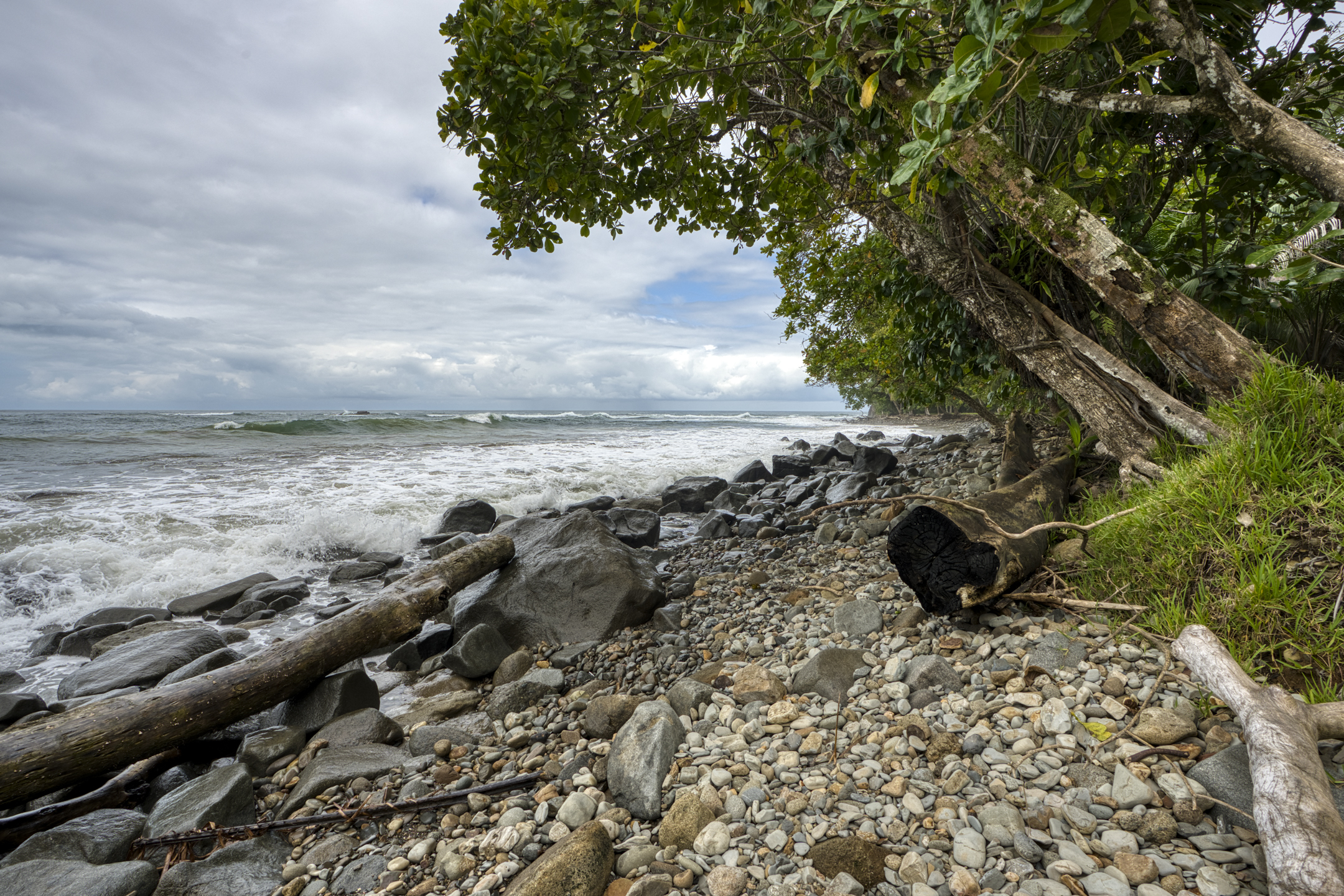 Dominical, Puntarenas, CR, ,Land,For Sale,1839872