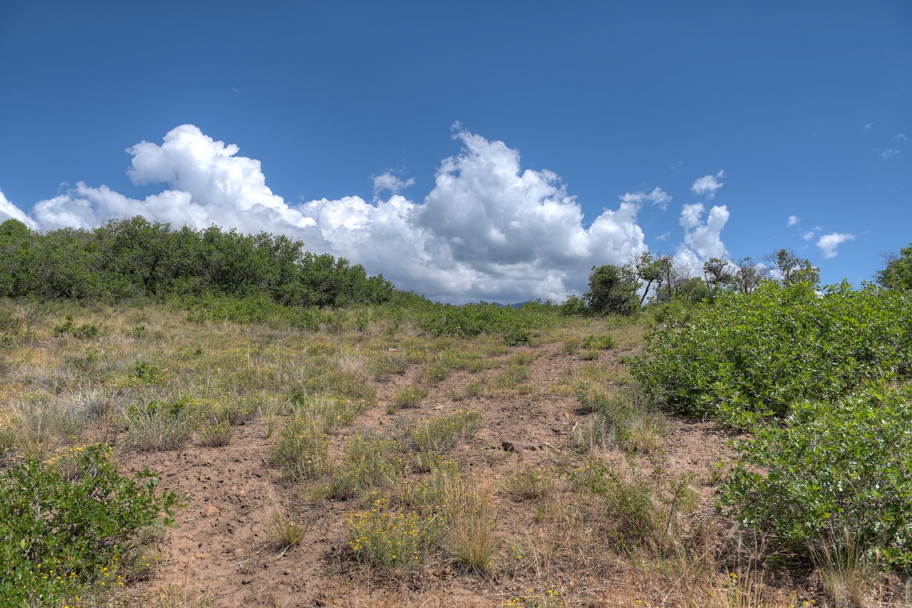  TBD Cross Creek Road, Hesperus, CO 81326 - 物件實景