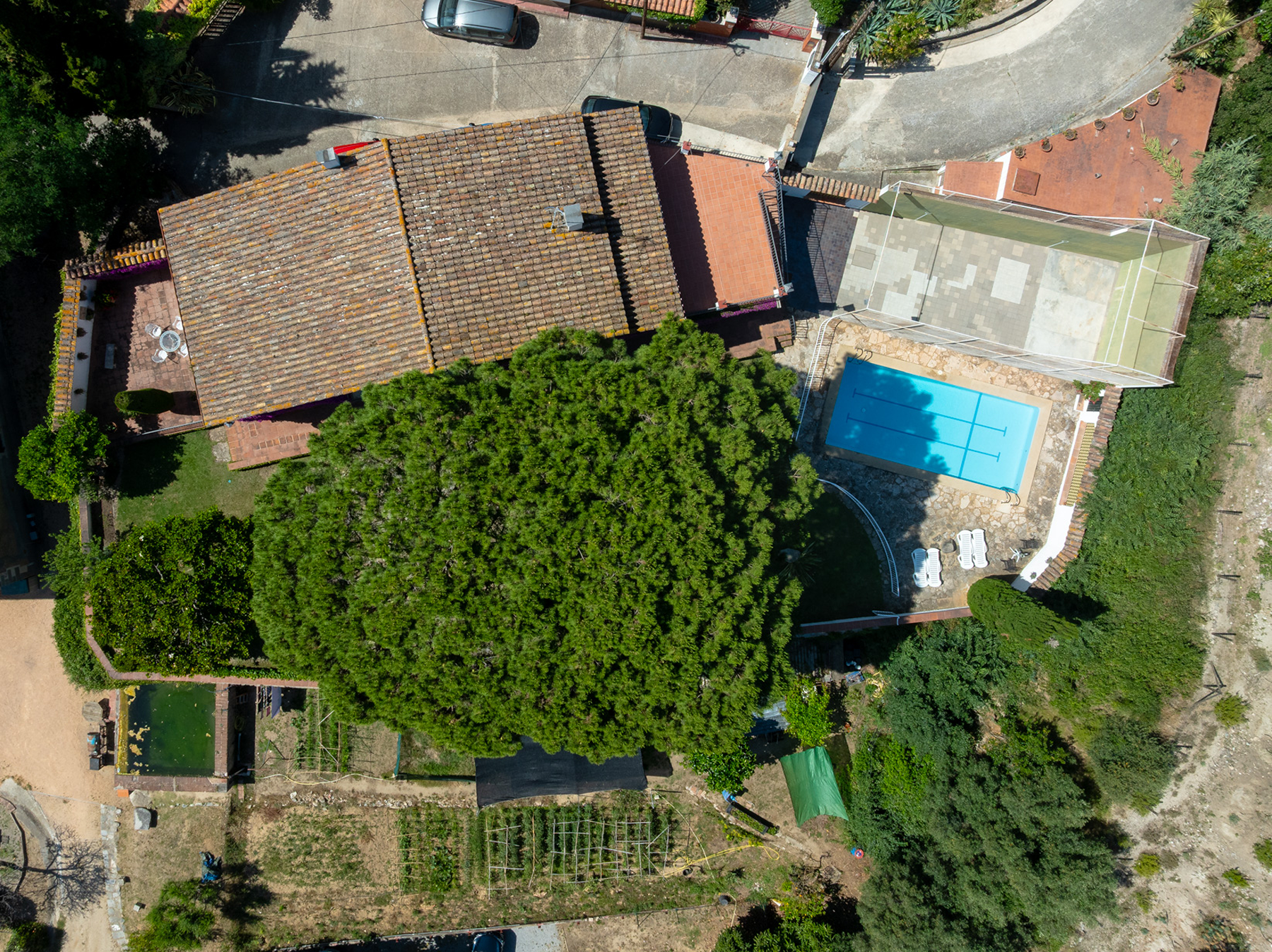  House with sea view and tourist license in Premià de Dalt - 物件實景