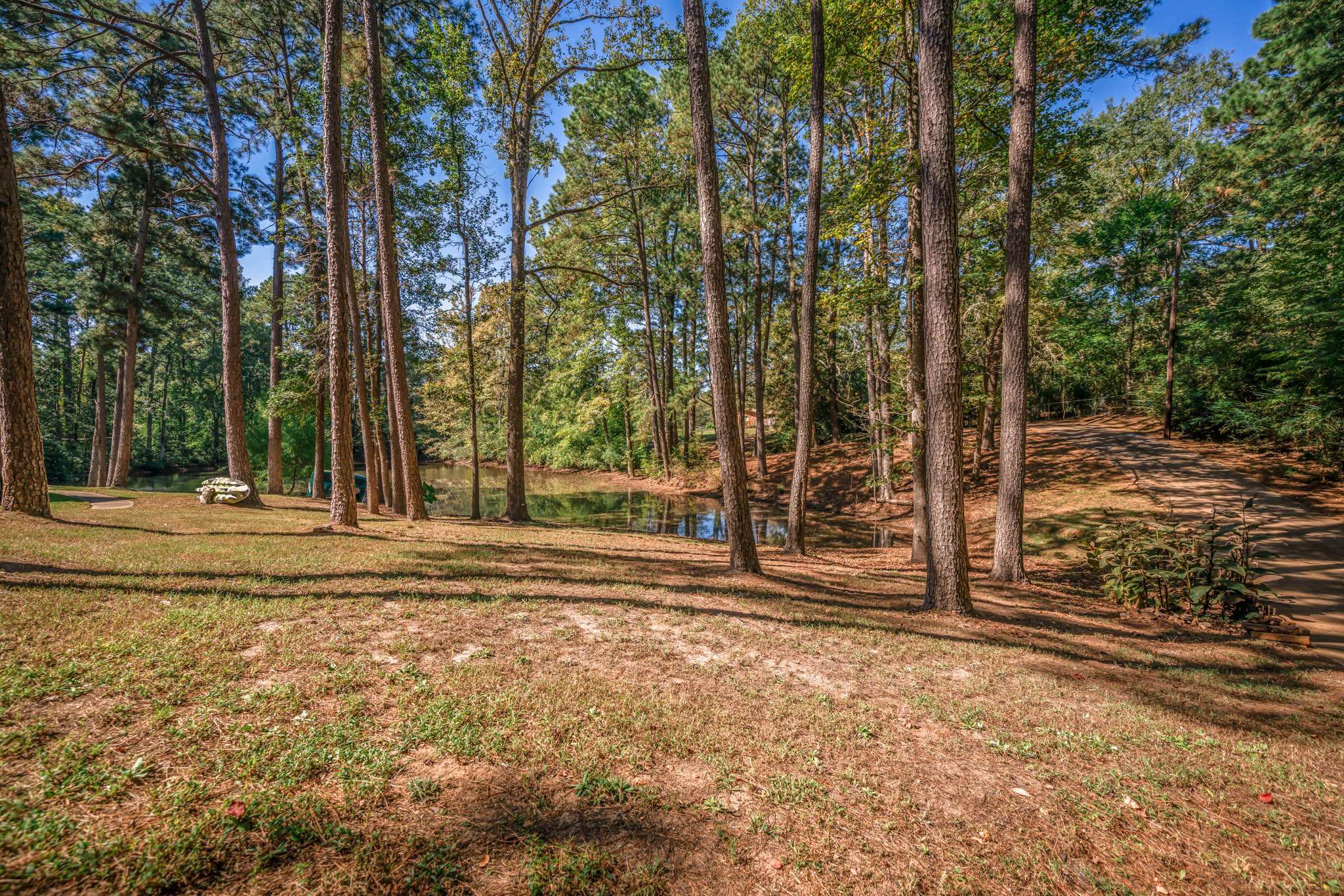 Rusk, Texas, 75785, United States, 4 Bedrooms Bedrooms, ,4 BathroomsBathrooms,Residential,For Sale,1930164