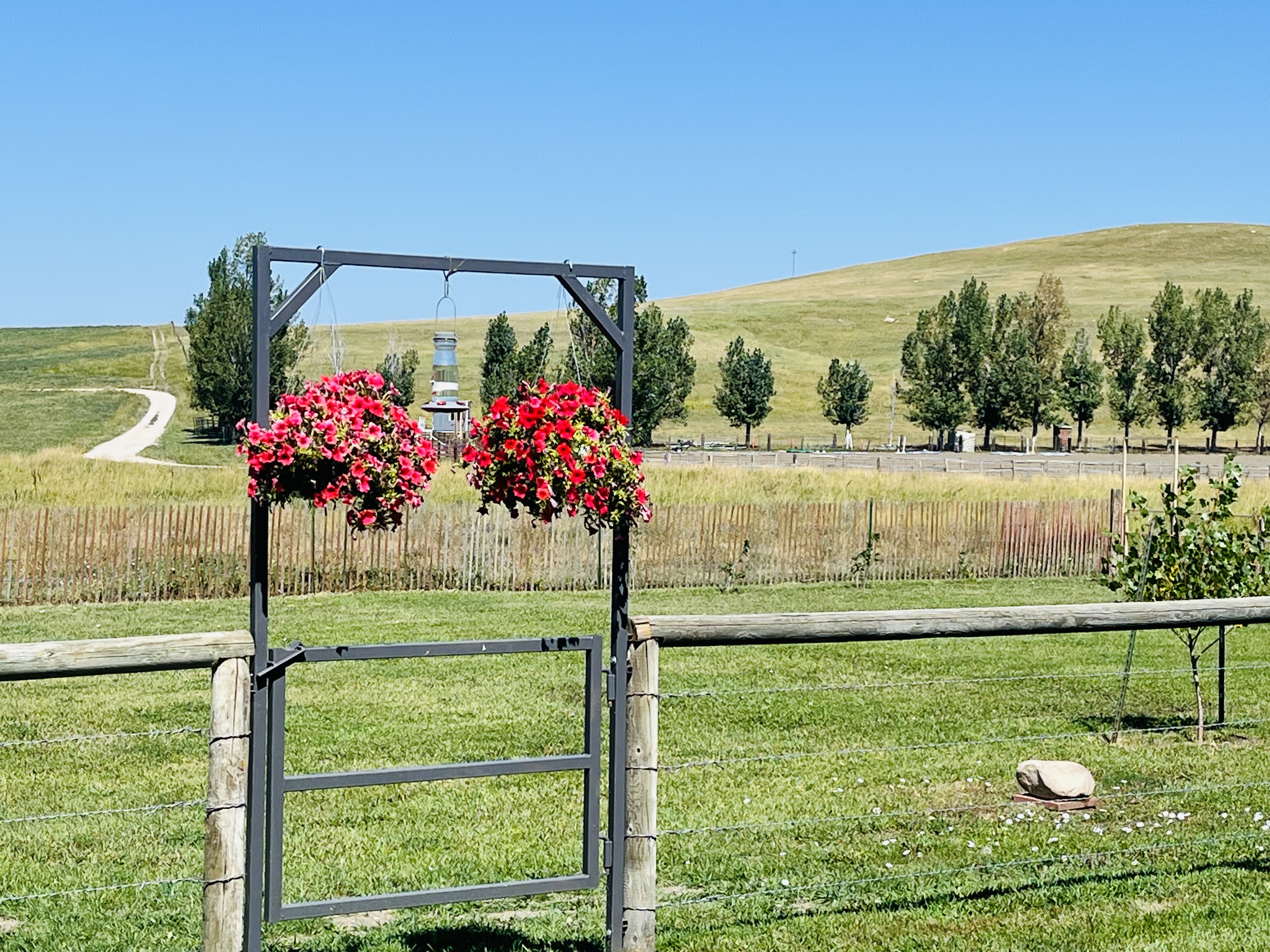 Buffalo, Wyoming, 82834, United States, 4 Bedrooms Bedrooms, ,2 BathroomsBathrooms,Residential,For Sale,1980816