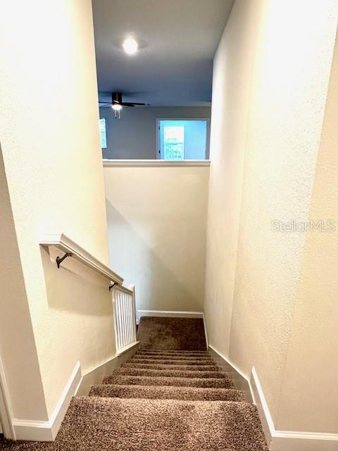 Davenport, Florida, 33896, United States, 8 Bedrooms Bedrooms, ,5 BathroomsBathrooms,Residential,For Sale,1906960