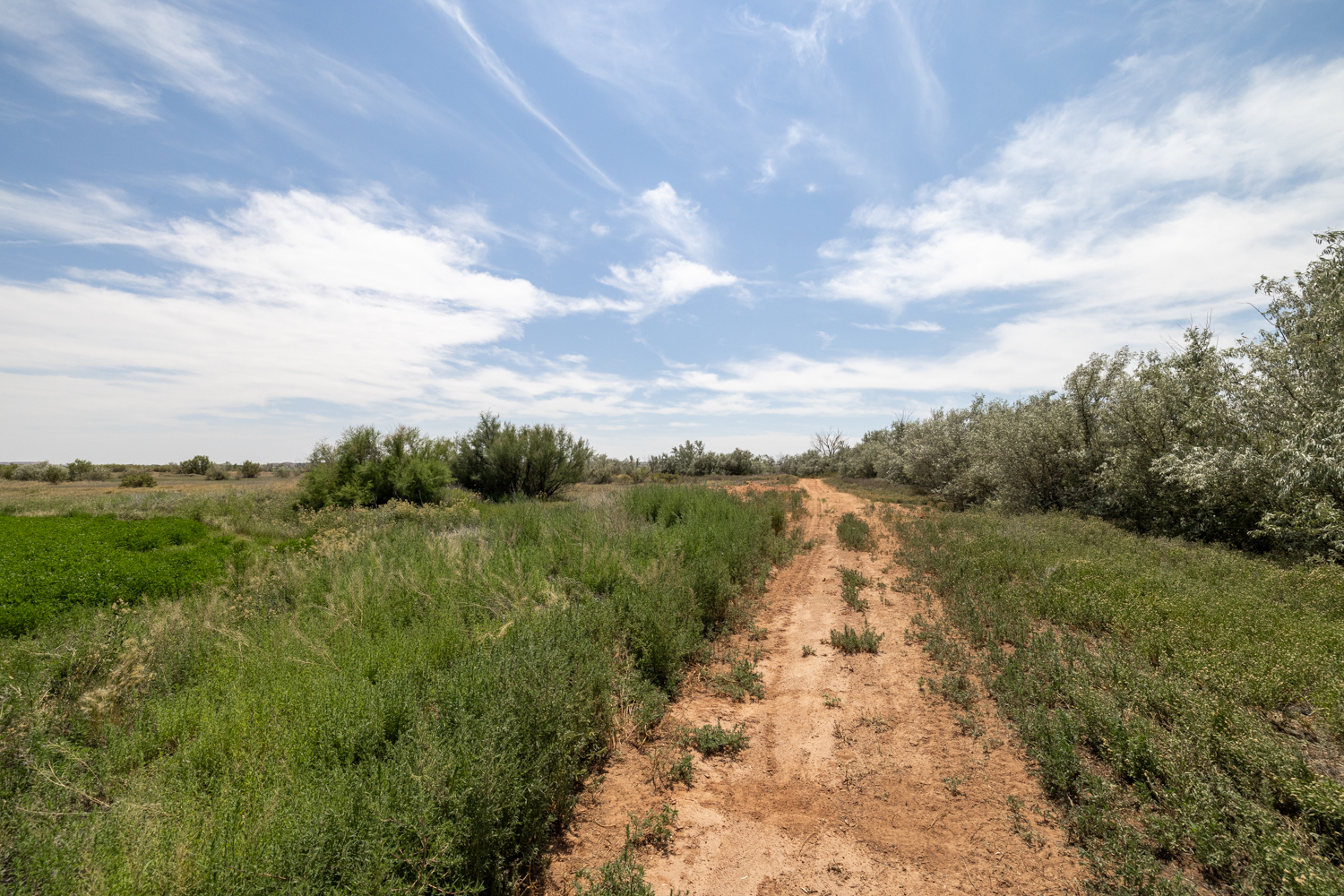 Roosevelt, Utah, 84066, United States, ,Land,For Sale,1903597