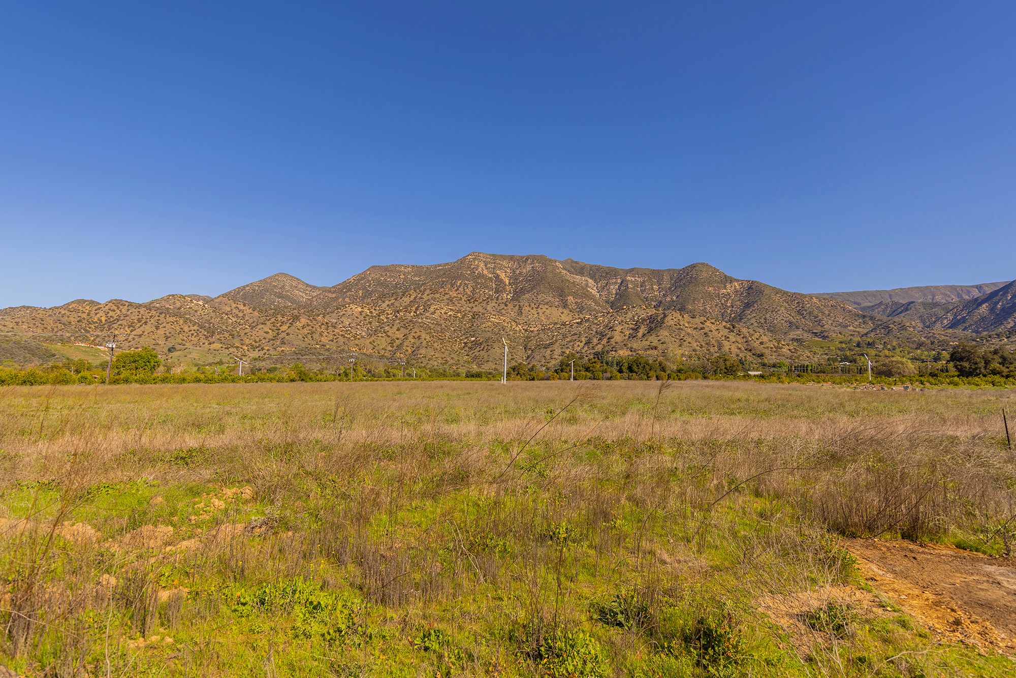  1201 Grand Avenue, Ojai, CA 93023 - 物件實景