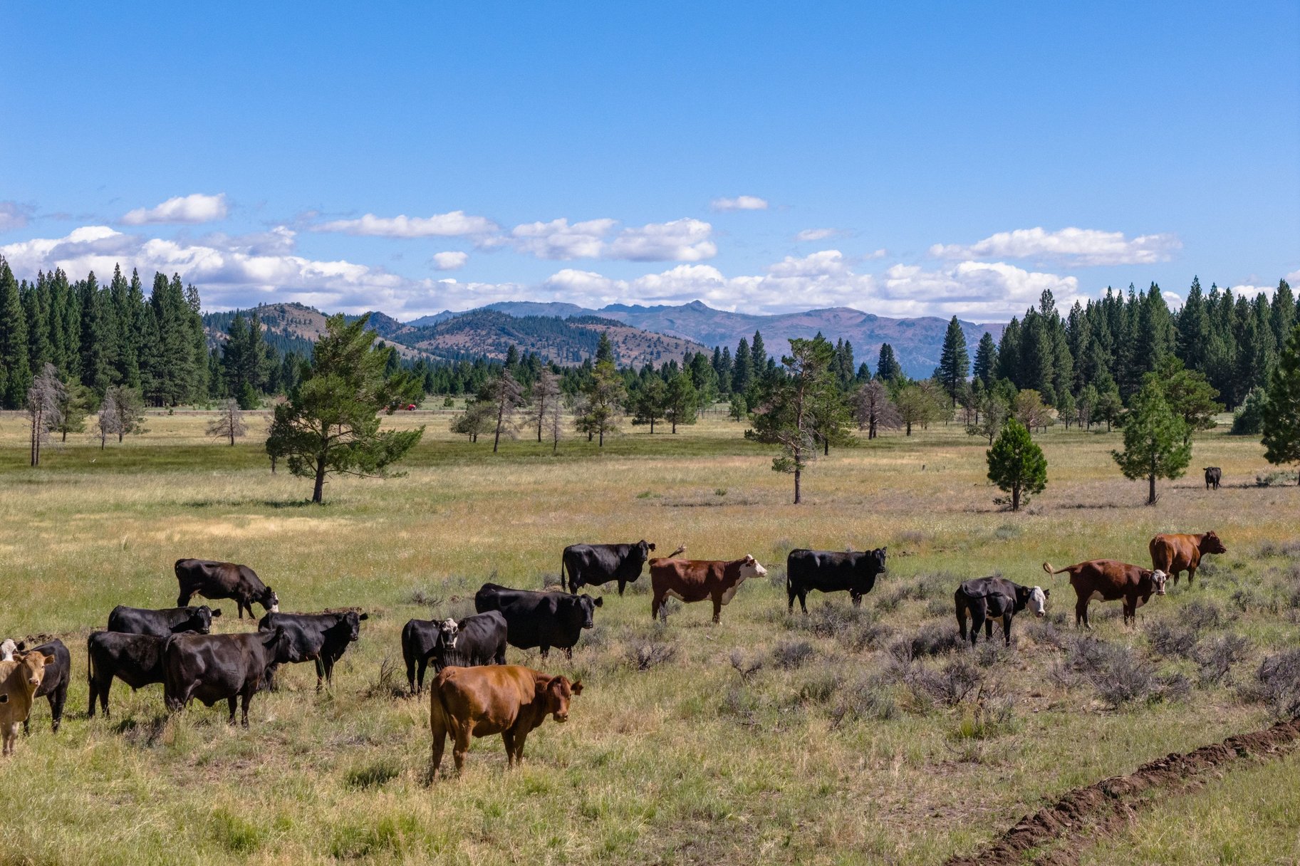  Landmark Ranch in California
