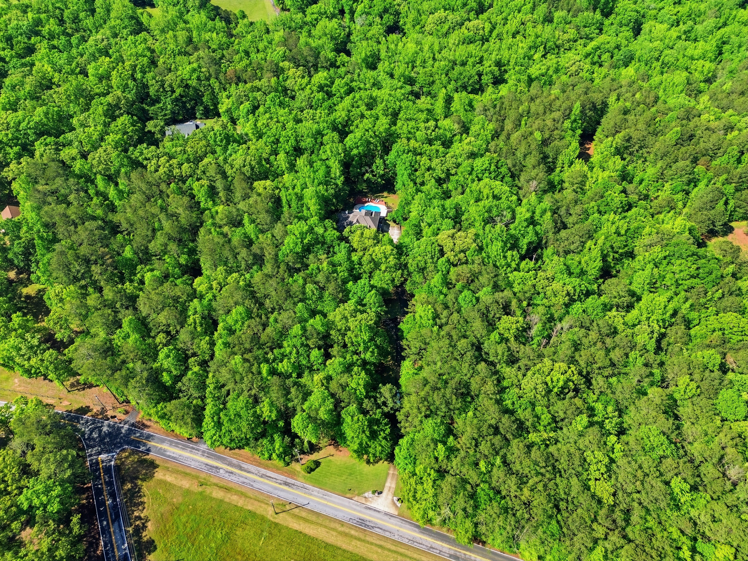  Stunning Custom Craftsman on 5.5± Acres - 物件實景