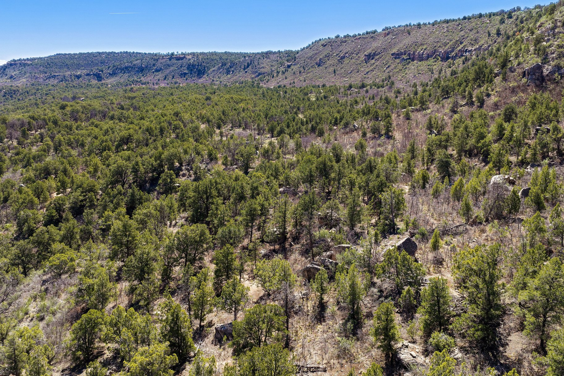  Secluded 18 Acre Wooded Lot In Old La Sal Utah - 物件實景