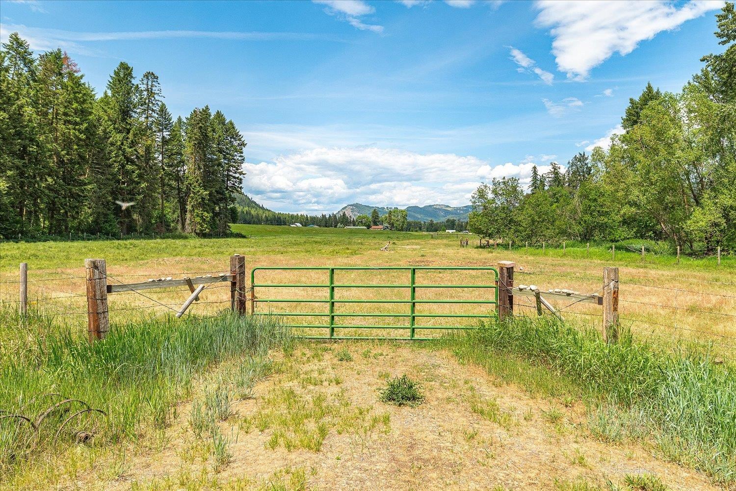 Colville, Washington, 99114, United States, 5 Bedrooms Bedrooms, ,3 BathroomsBathrooms,Residential,For Sale,2049319