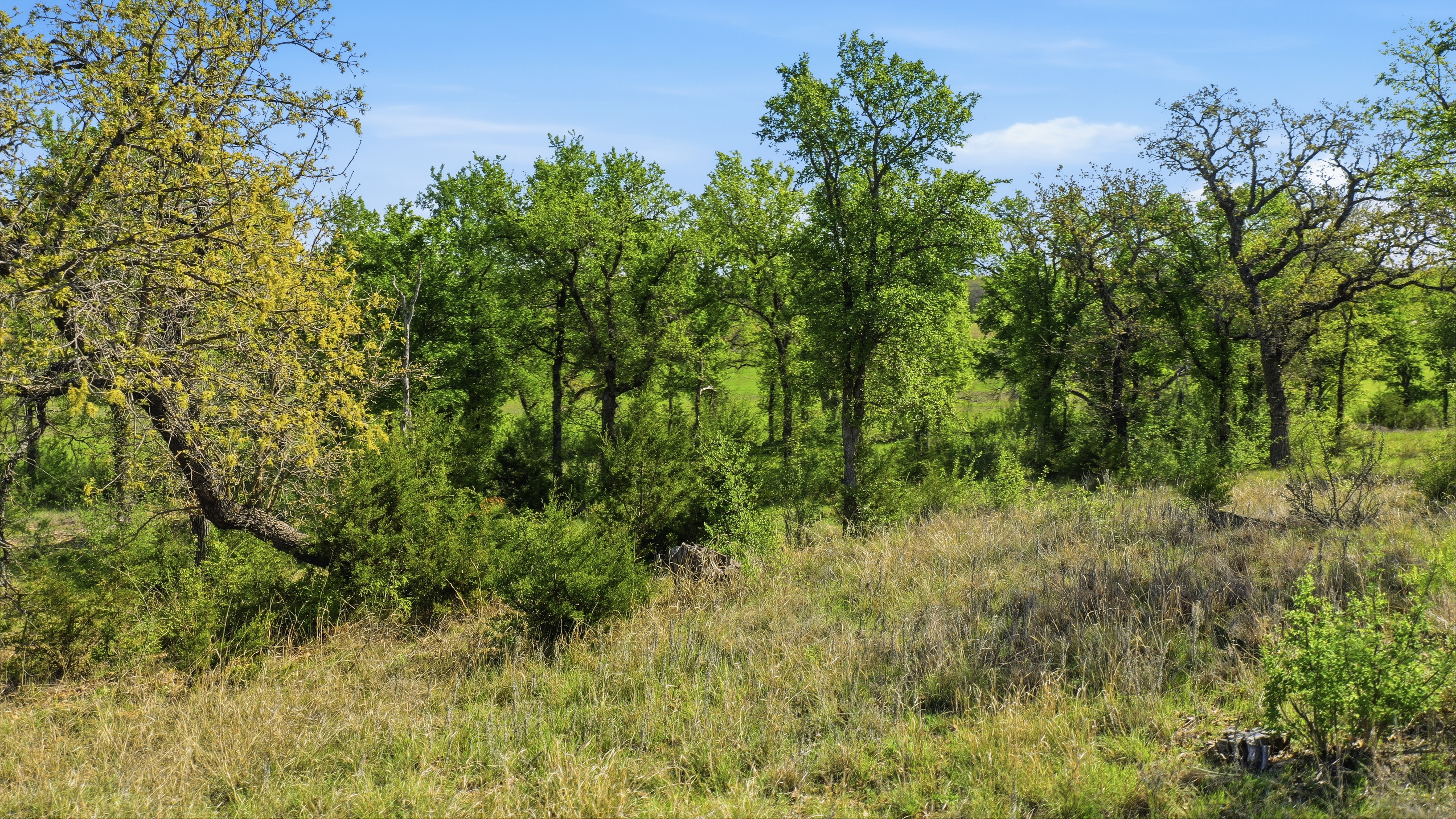  Space for Barns, Workshops, and Big Texas Dreams - 物件實景