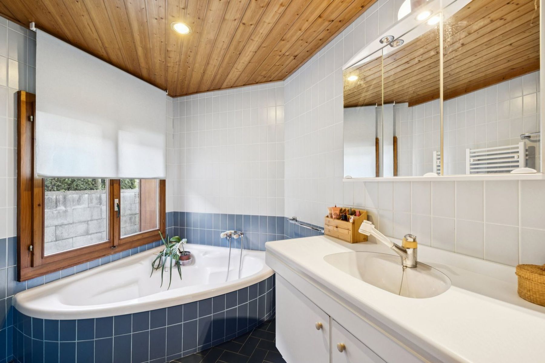  Villa-chalet with view of the lake and the Alps, with building potential - 物件實景