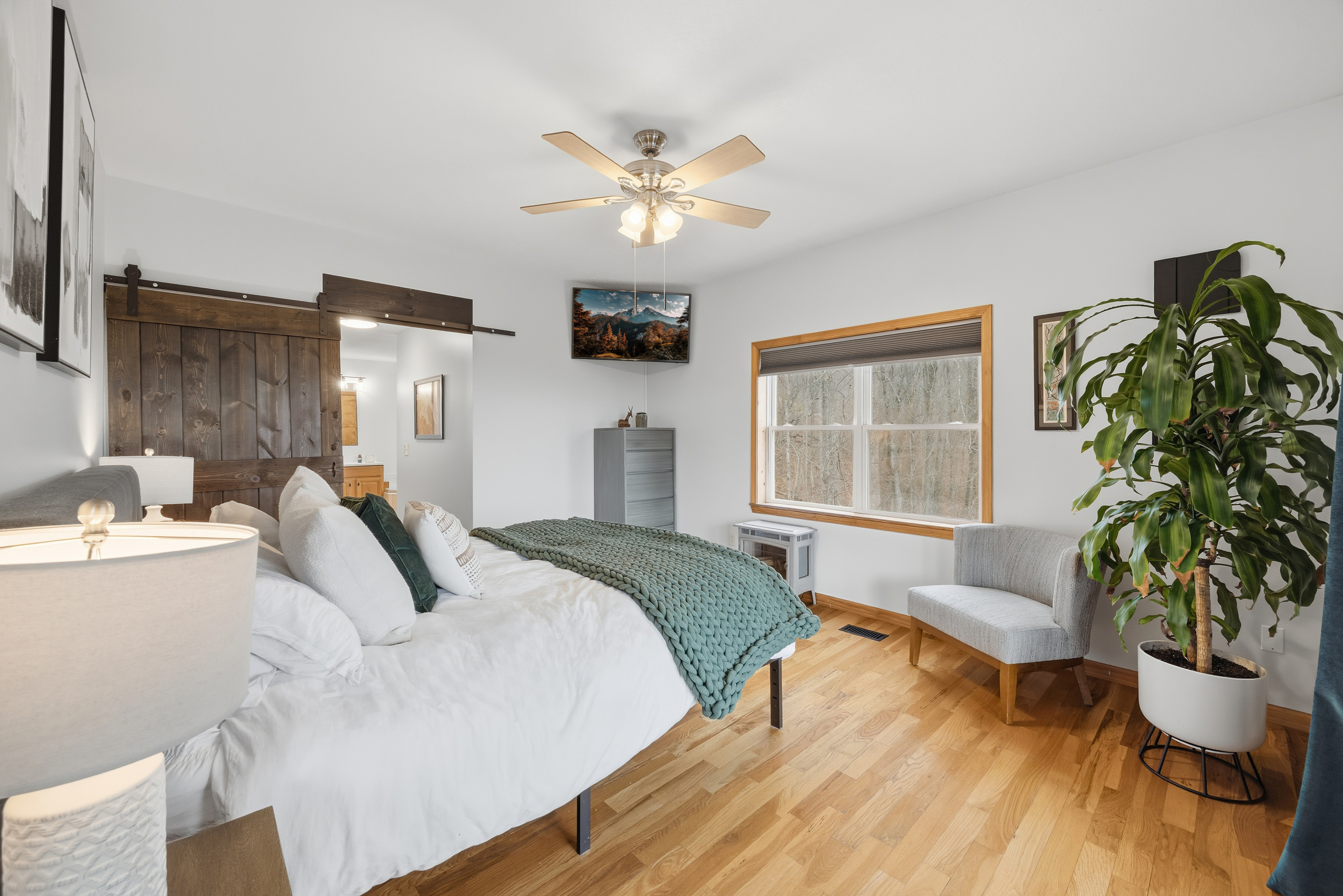  523 Upper Springs Road, Pickens, SC 29671 - 物件實景