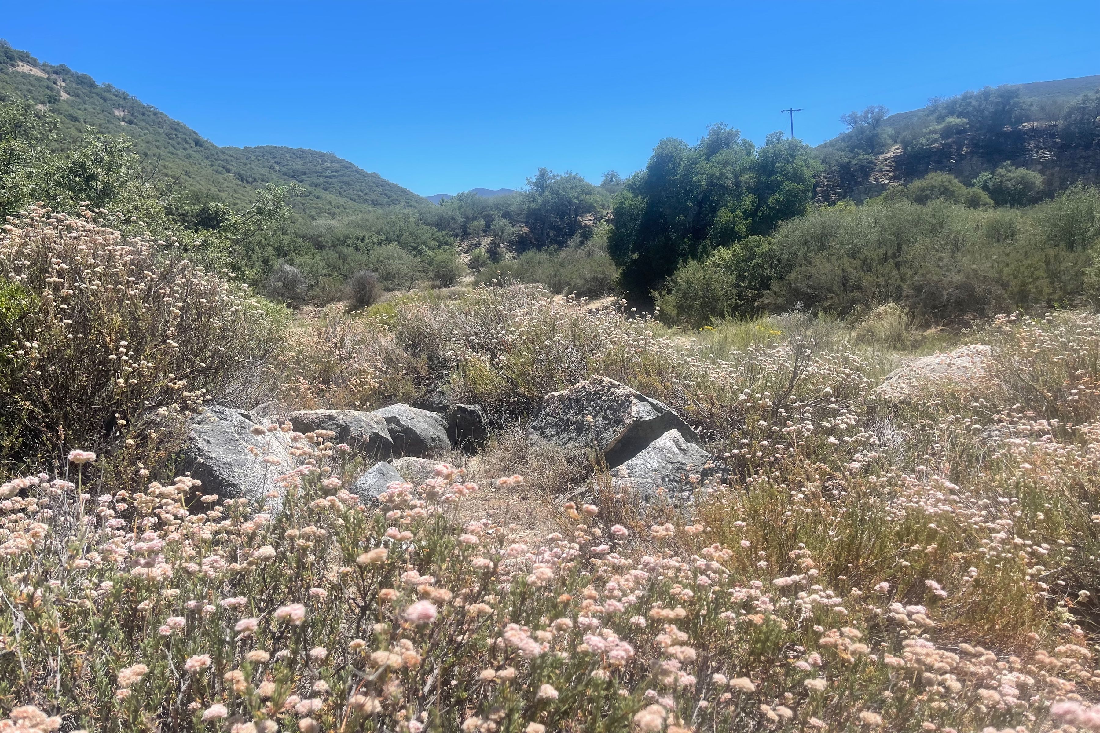  0 East Carmel Valley Road - 物件實景