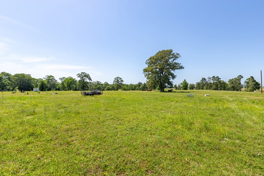 Pollok, Texas, 75969, United States, ,Residential,For Sale,1928088