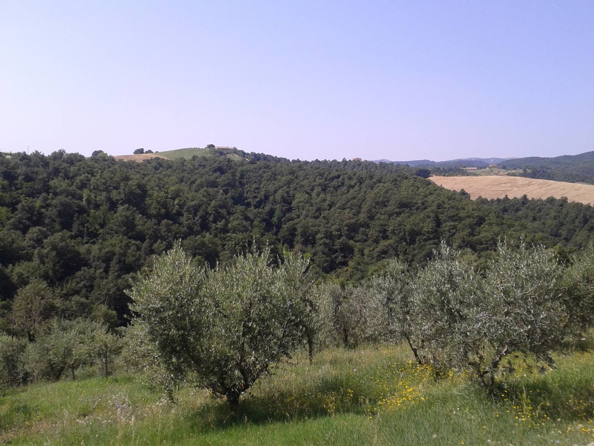 via Fossa Taccolla, San Venanzo, Terni, 05010, IT, 8 Bedrooms Bedrooms, ,9 BathroomsBathrooms,Residential,For Sale,via Fossa Taccolla,398096