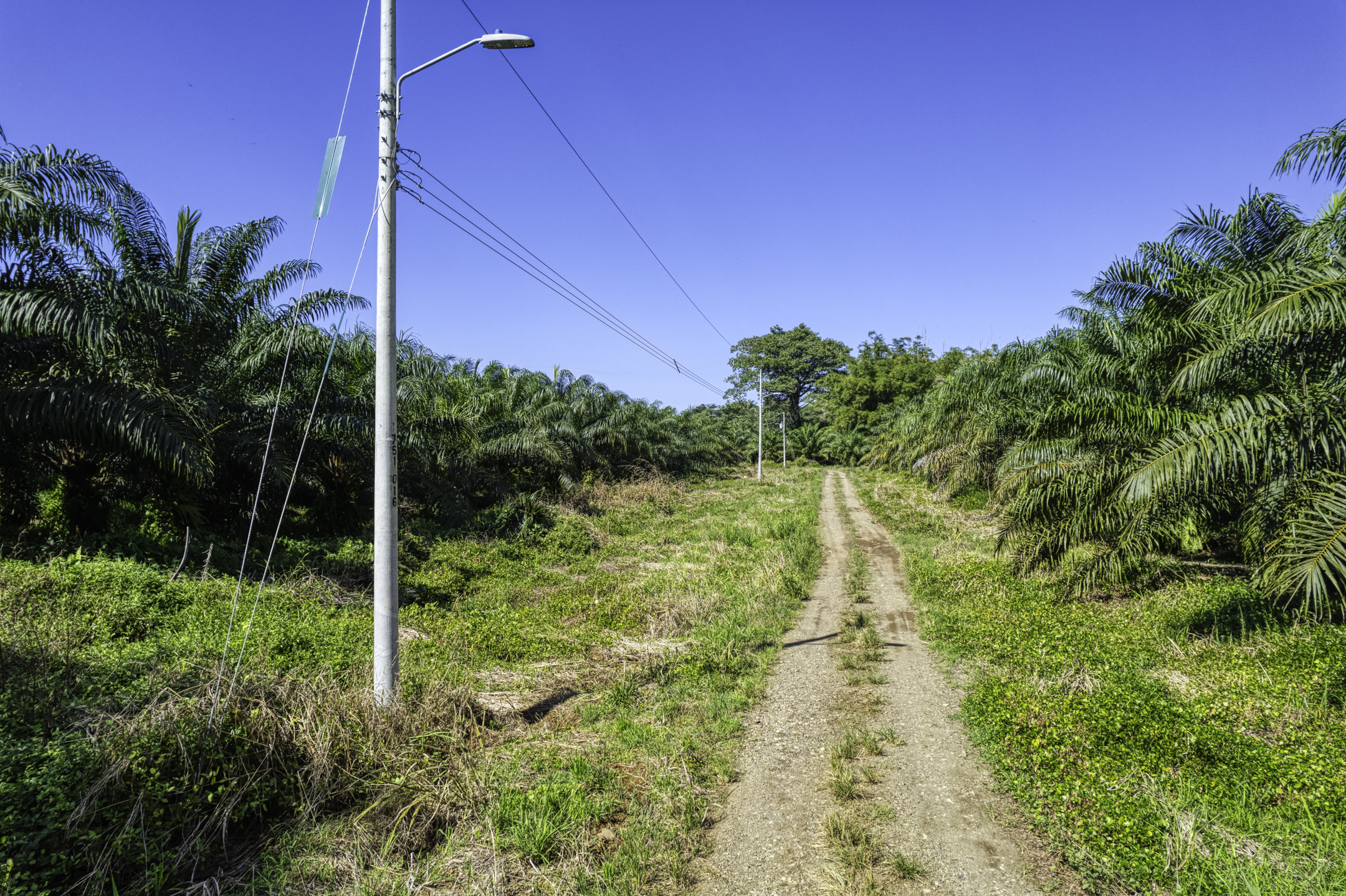 Portalon, Dominical, Puntarenas, CR, ,Land,For Sale,Portalon,1586164