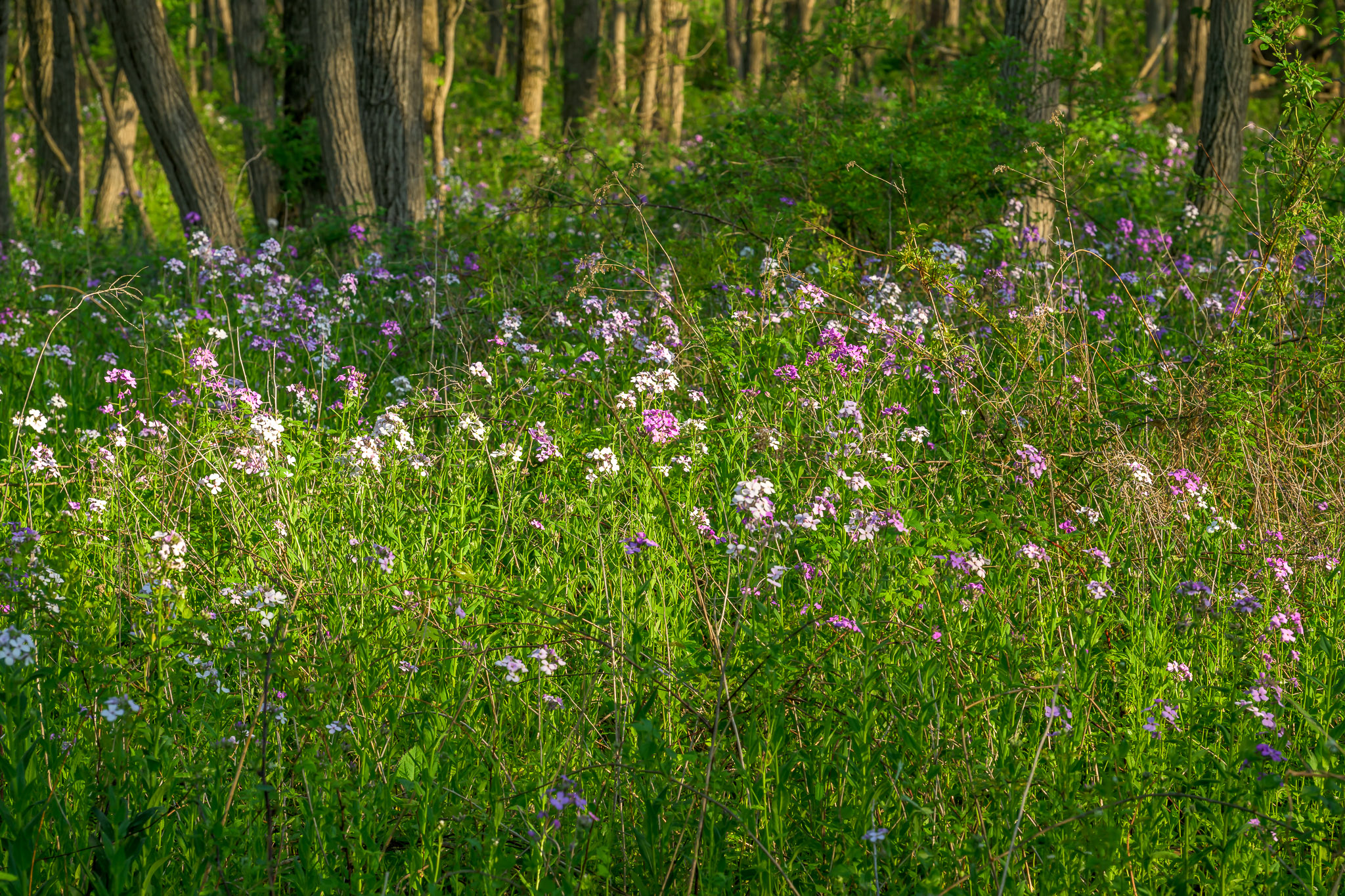  596 County Route 25, Stockport, NY 12173 - 物件實景