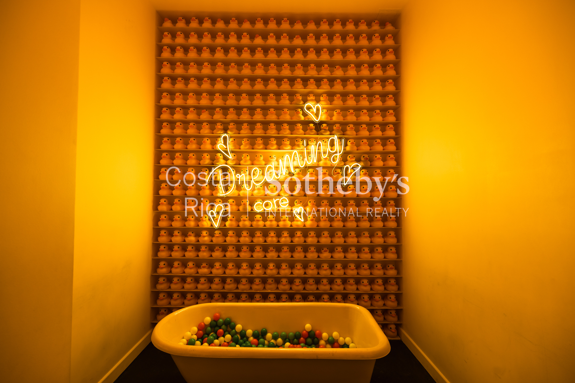  The Reserve at Secrt Sabana - 物件實景