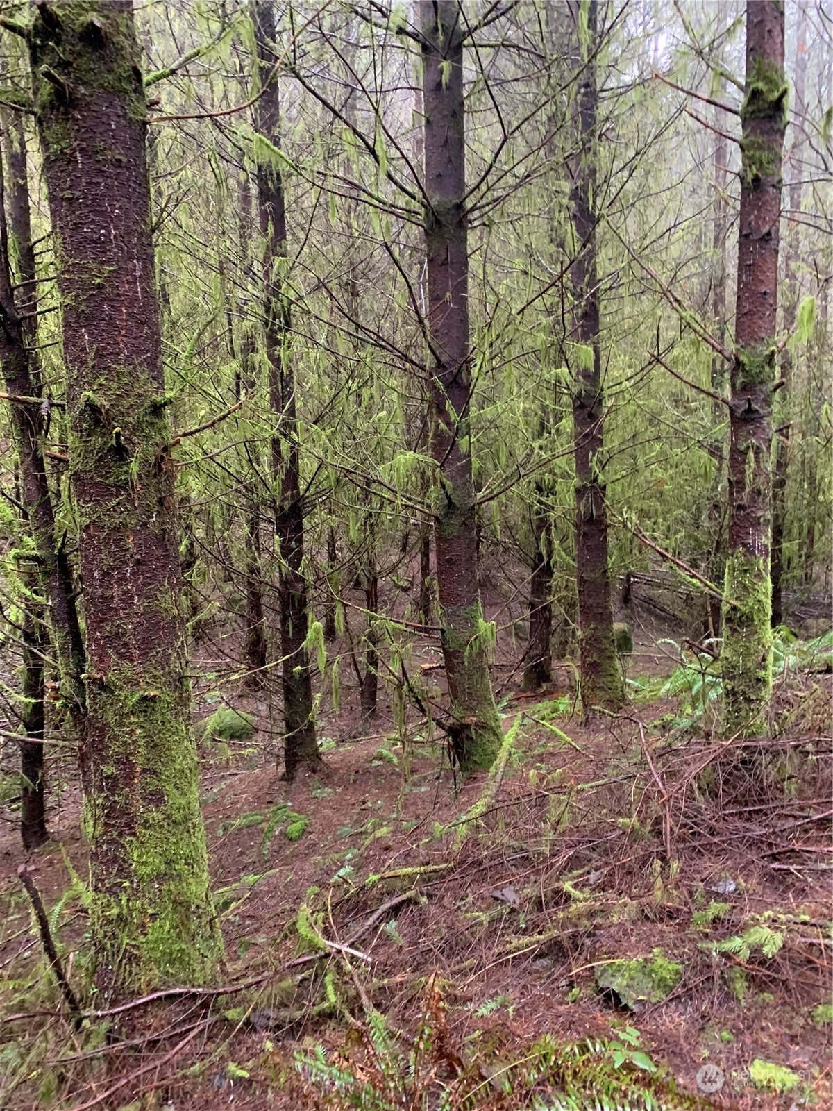 0 Fallert Road, Kalama, Washington, 98625, United States, ,Land,For Sale,0 Fallert Road,1273199