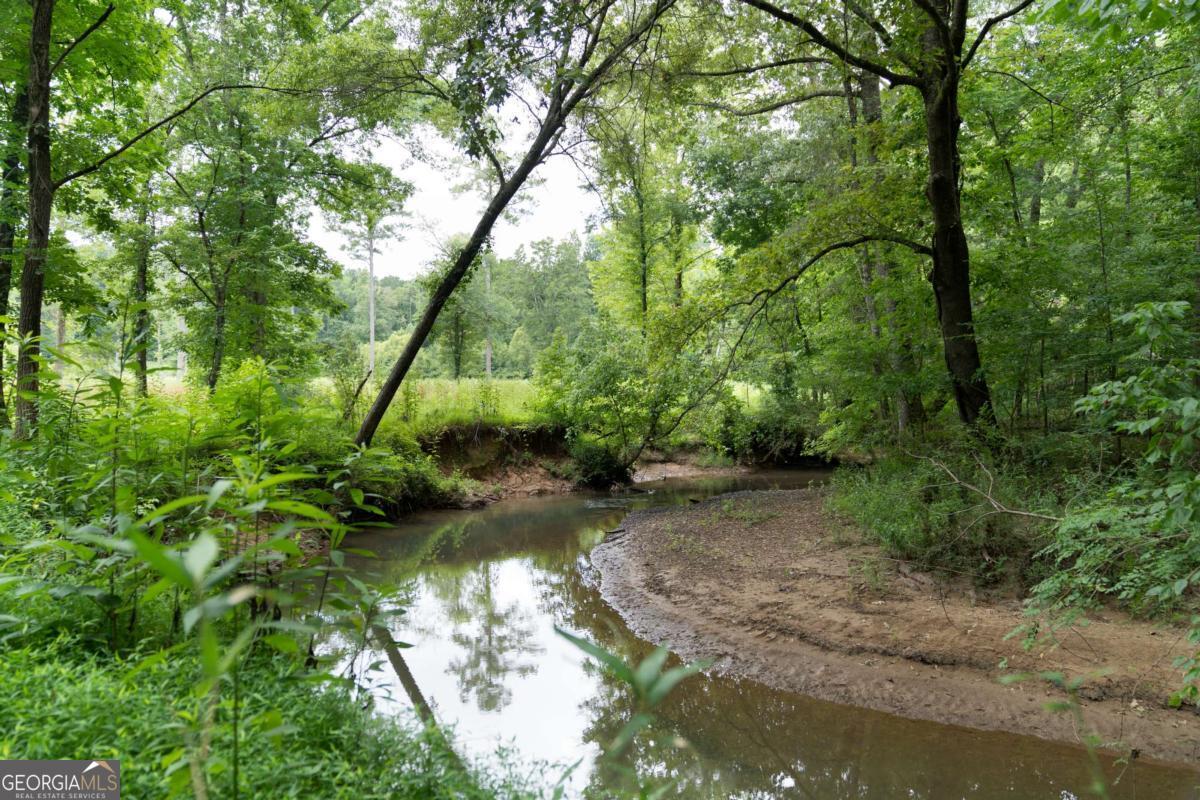 Rome, Georgia, 30165, United States, ,Land,For Sale,1890078